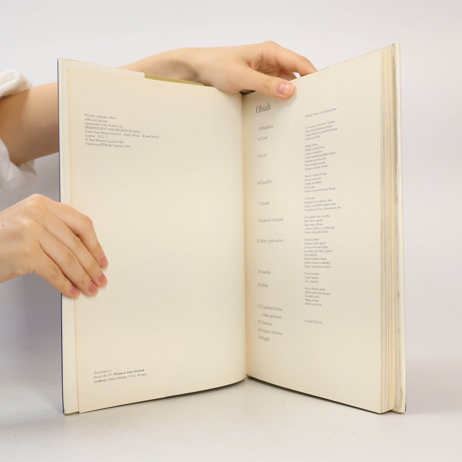 Autorenkollektiv Pravěk a umění přírodních národů