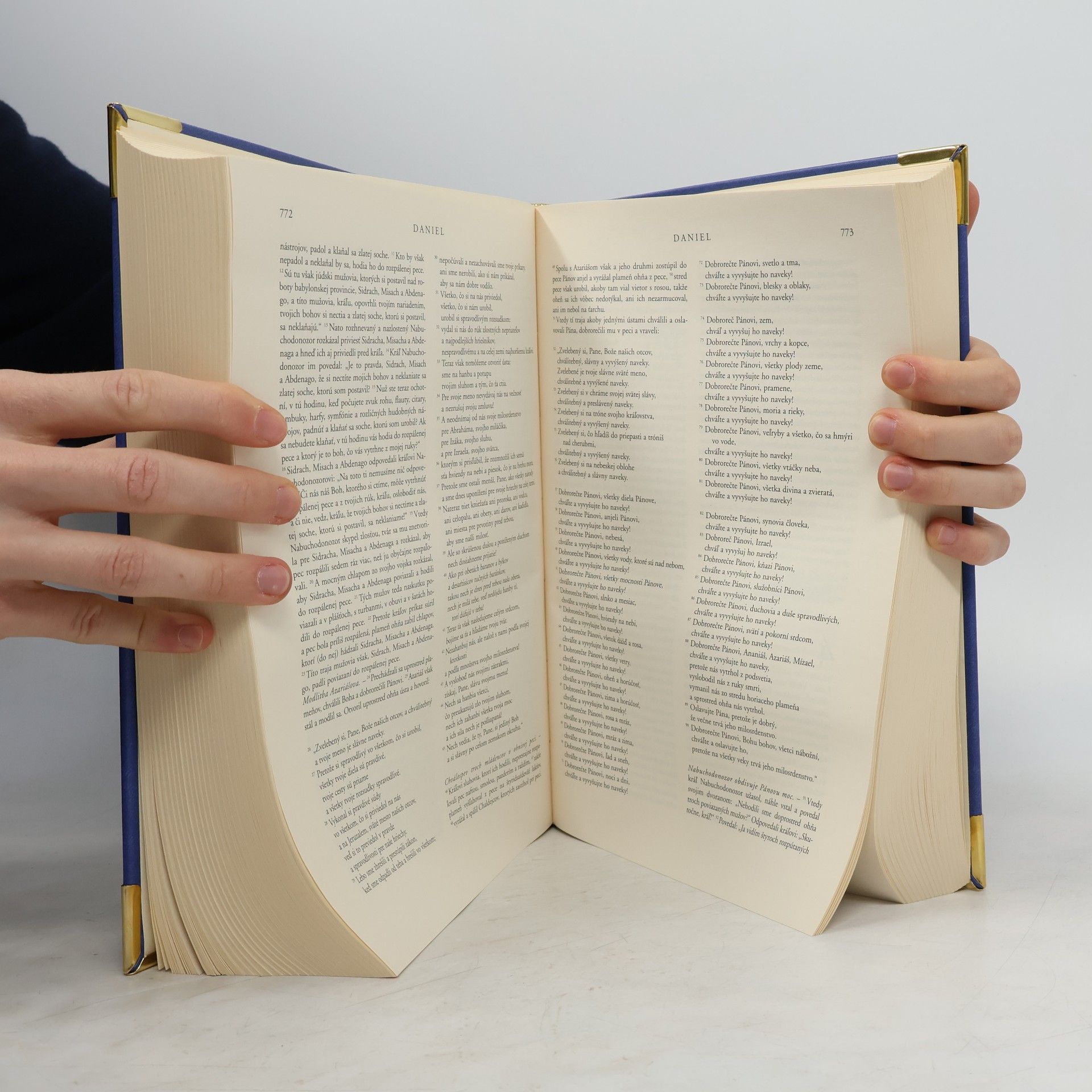 Autorenkollektiv Biblia