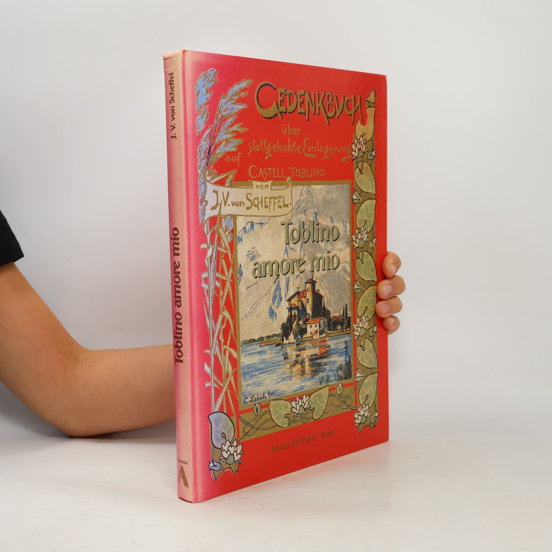 Gedenkbuch über stattgehabte Einlagerung auf Castell Toblino