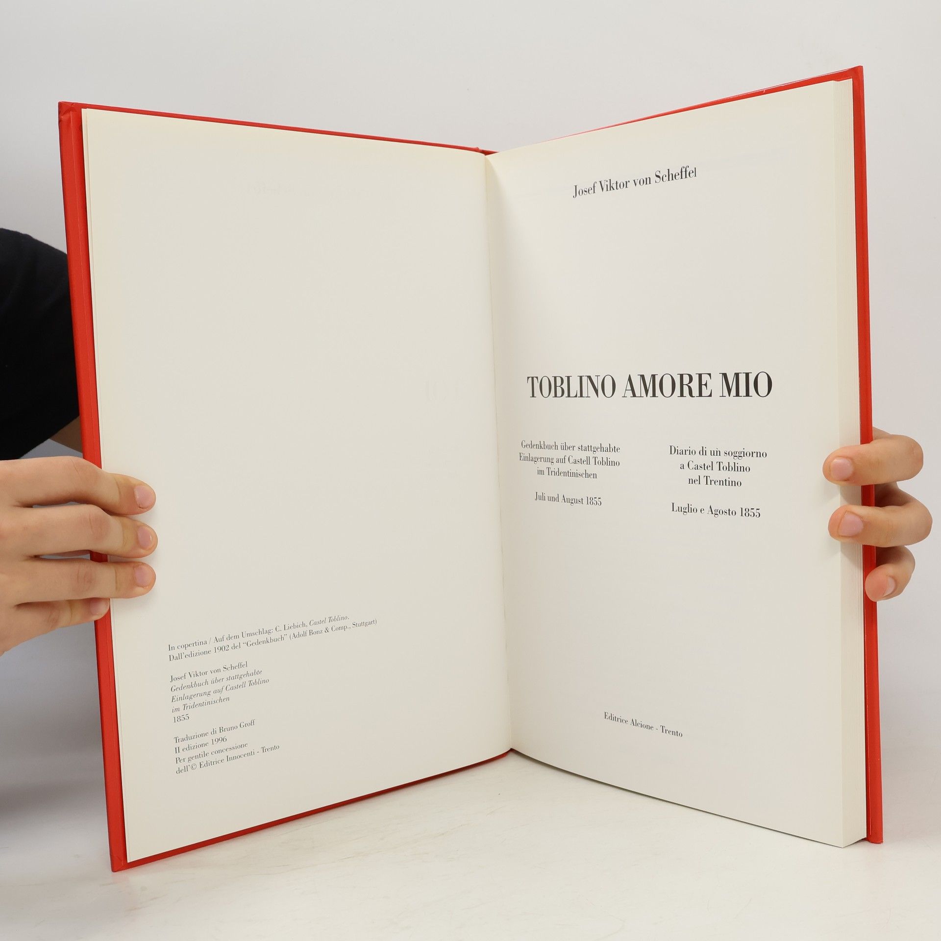J. V. von Scheffel Gedenkbuch über stattgehabte Einlagerung auf Castell Toblino