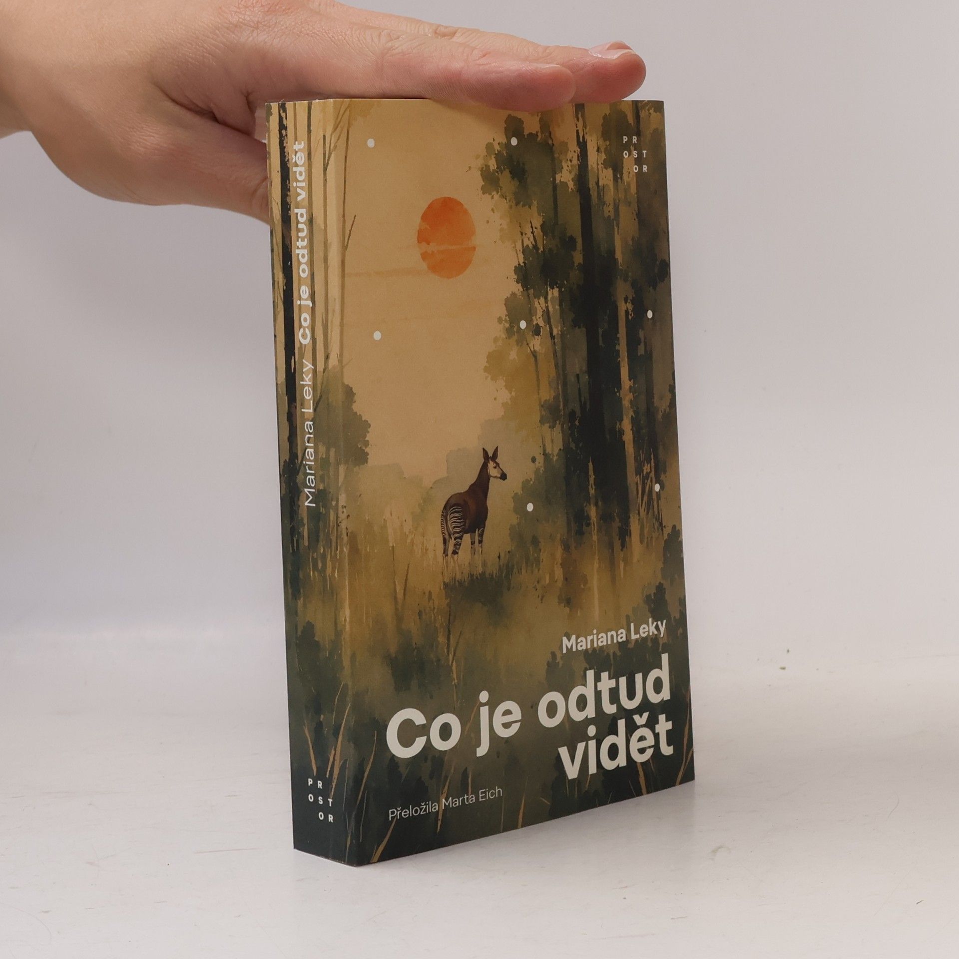 Co je odtud vidět