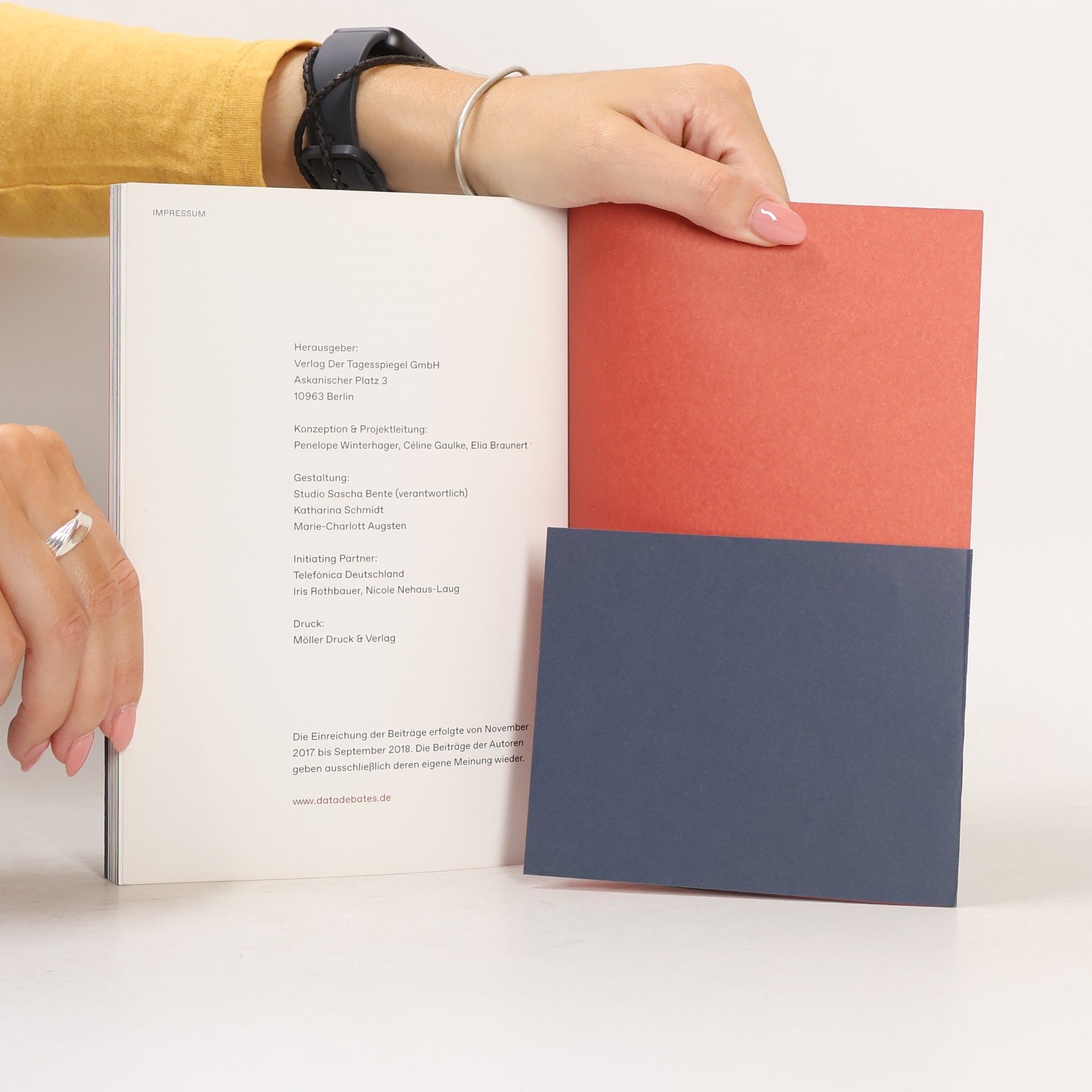 Autorenkollektiv Die Zukunft der Datengesellschaft Vol. II