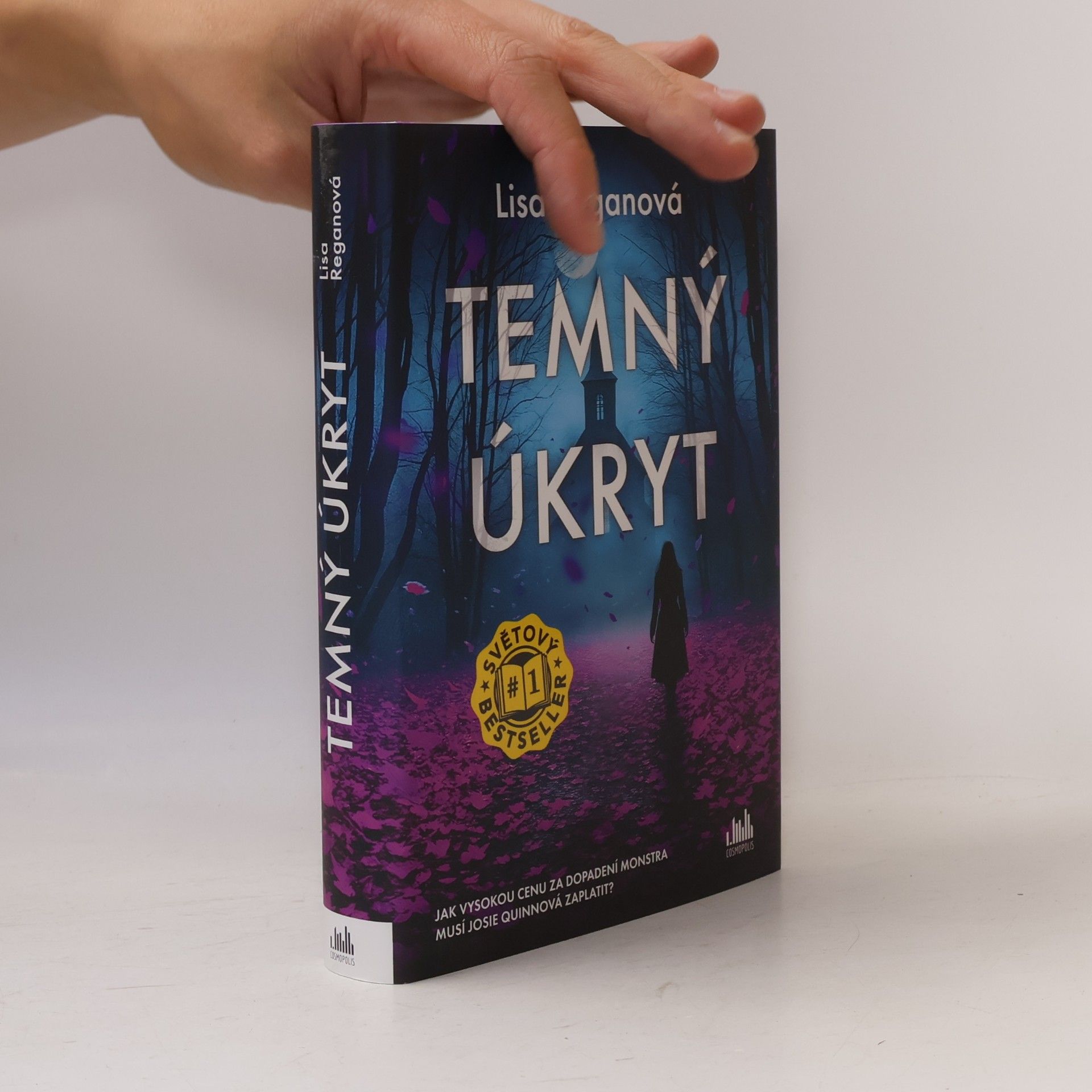 Lisa Regan Temný úkryt