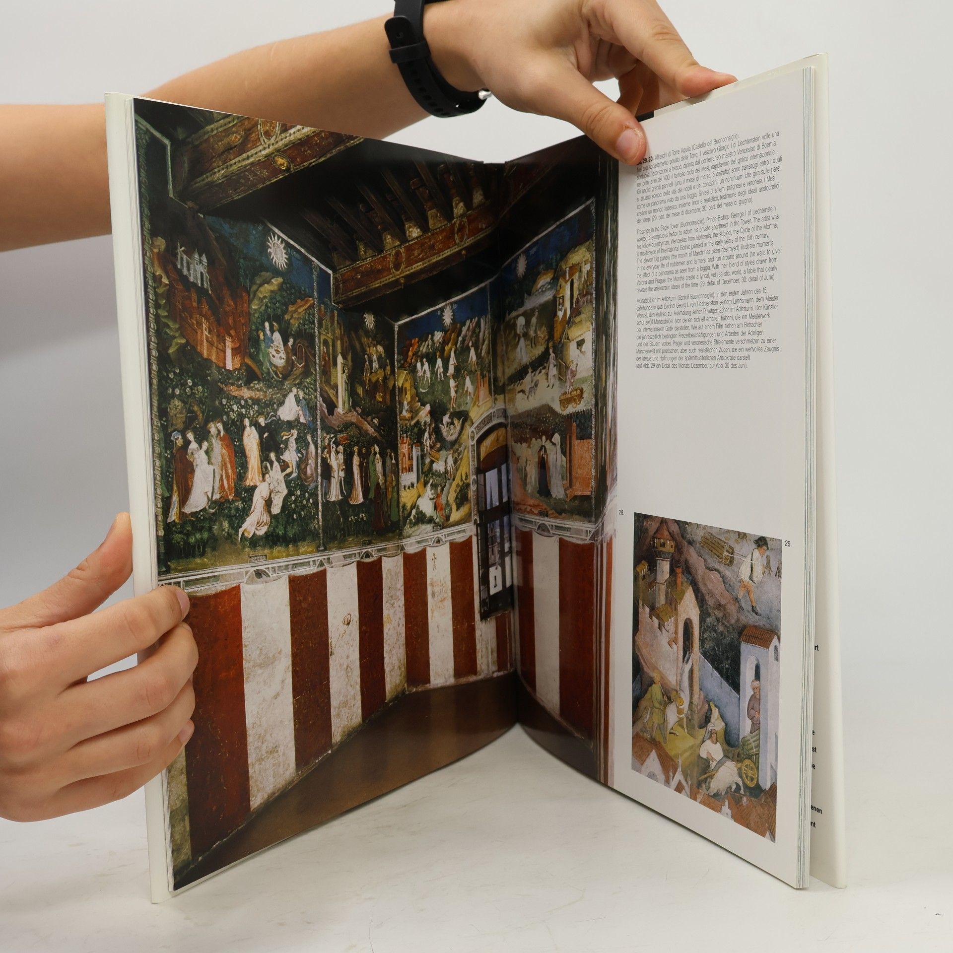 Carlo Pacher Trento città d'arte