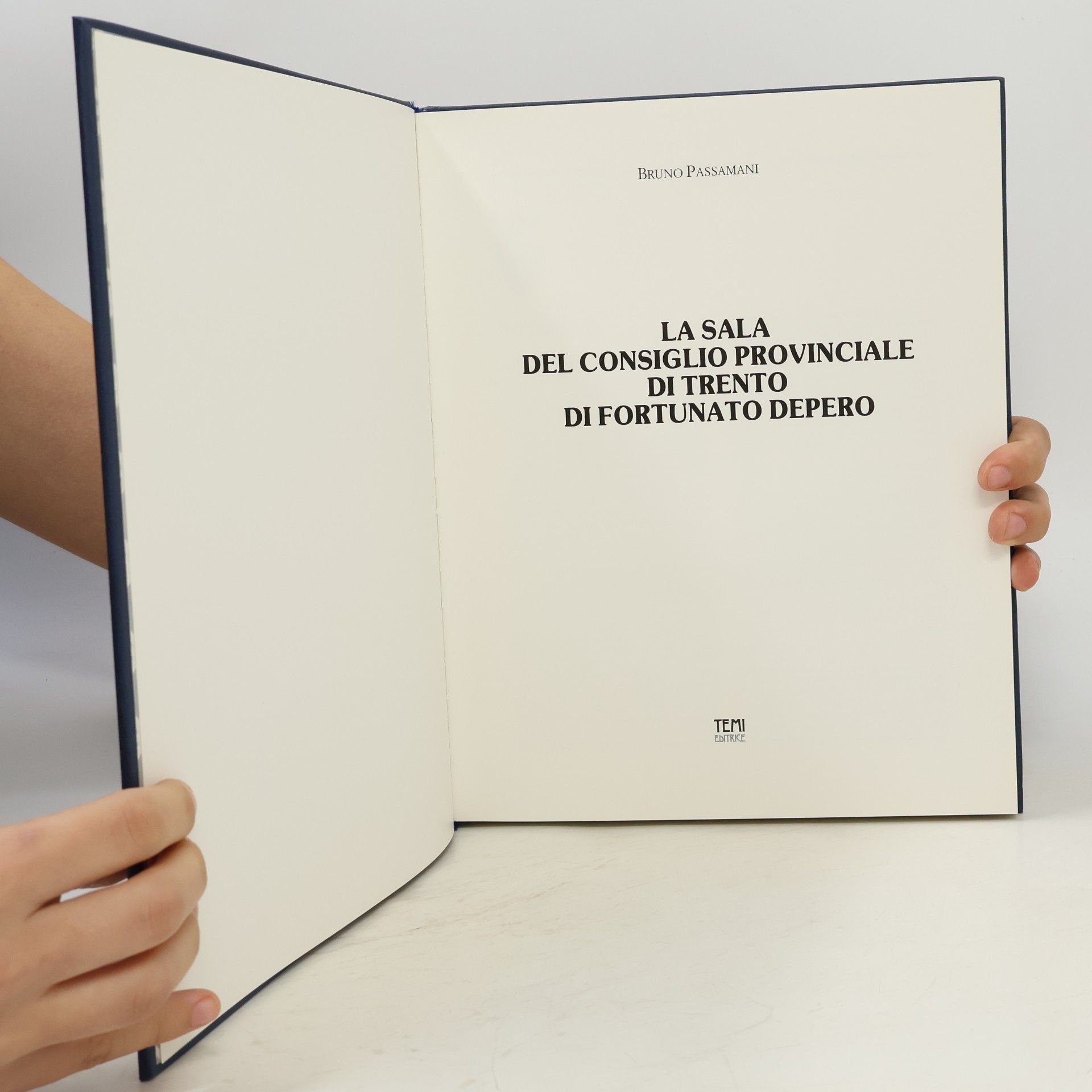 Bruno Passamani La Sala del Consiglio Provinciale di Trento di Fortunato Depero