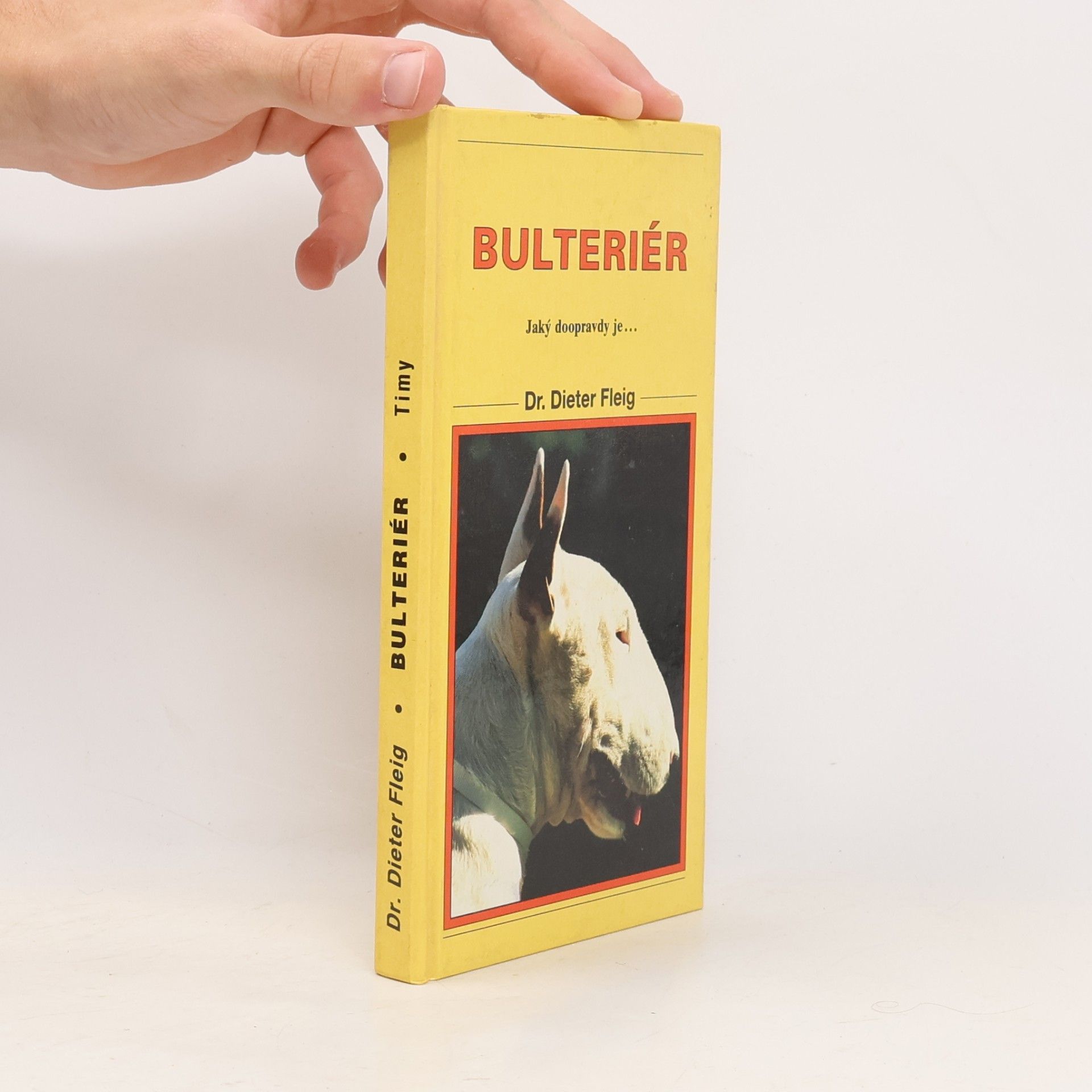 Bulteriér : jaký doopravdy je