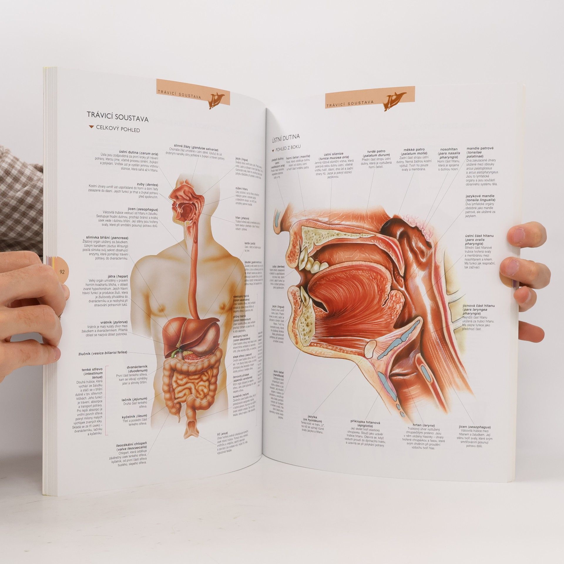 Kolektív autorov Atlas lidského těla