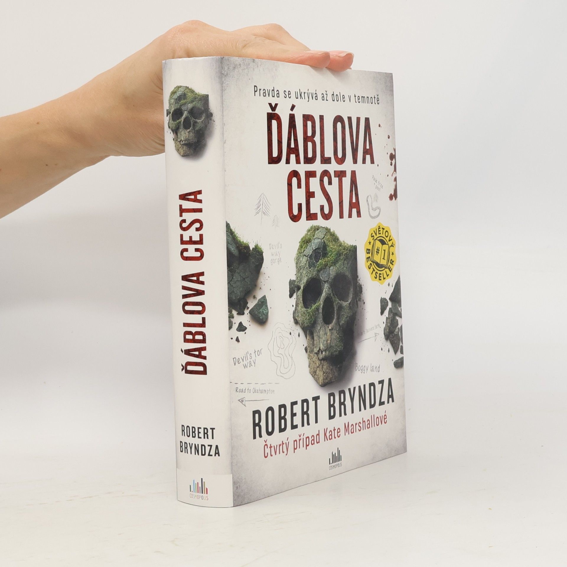 Robert Bryndza Ďáblova cesta