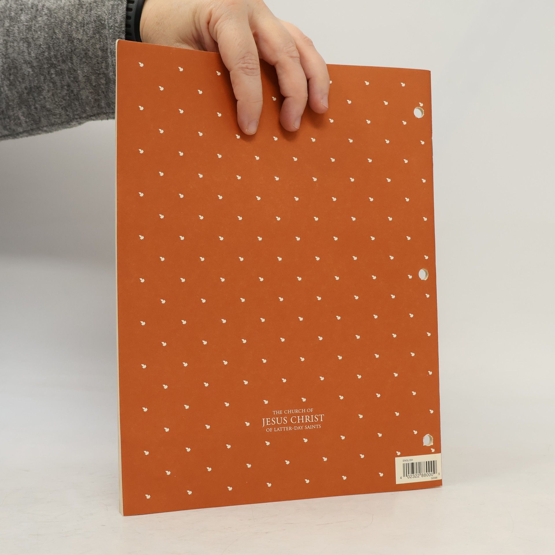 Auteurscollectief Essentials of Home Production & Storage