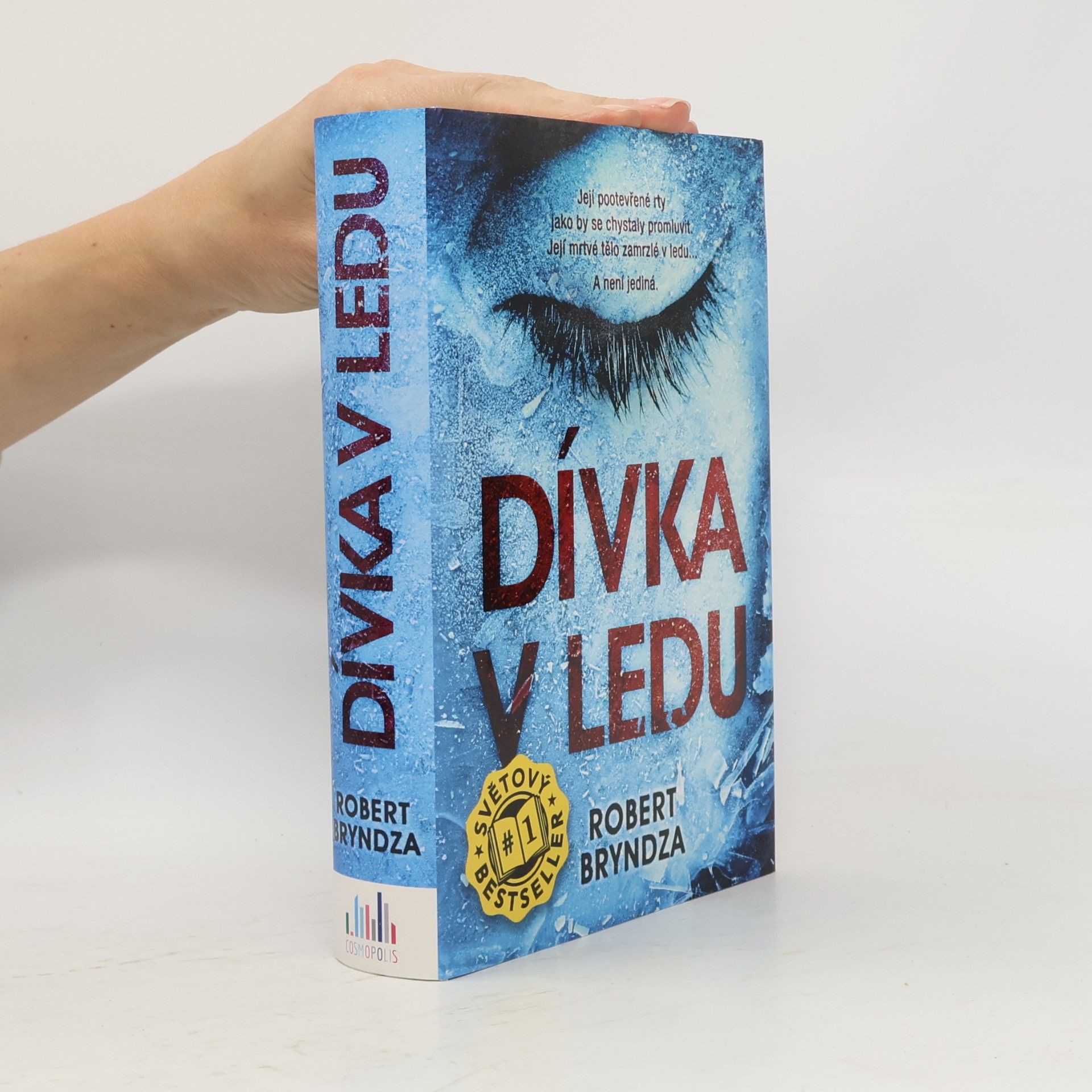 Robert Bryndza Dívka v ledu