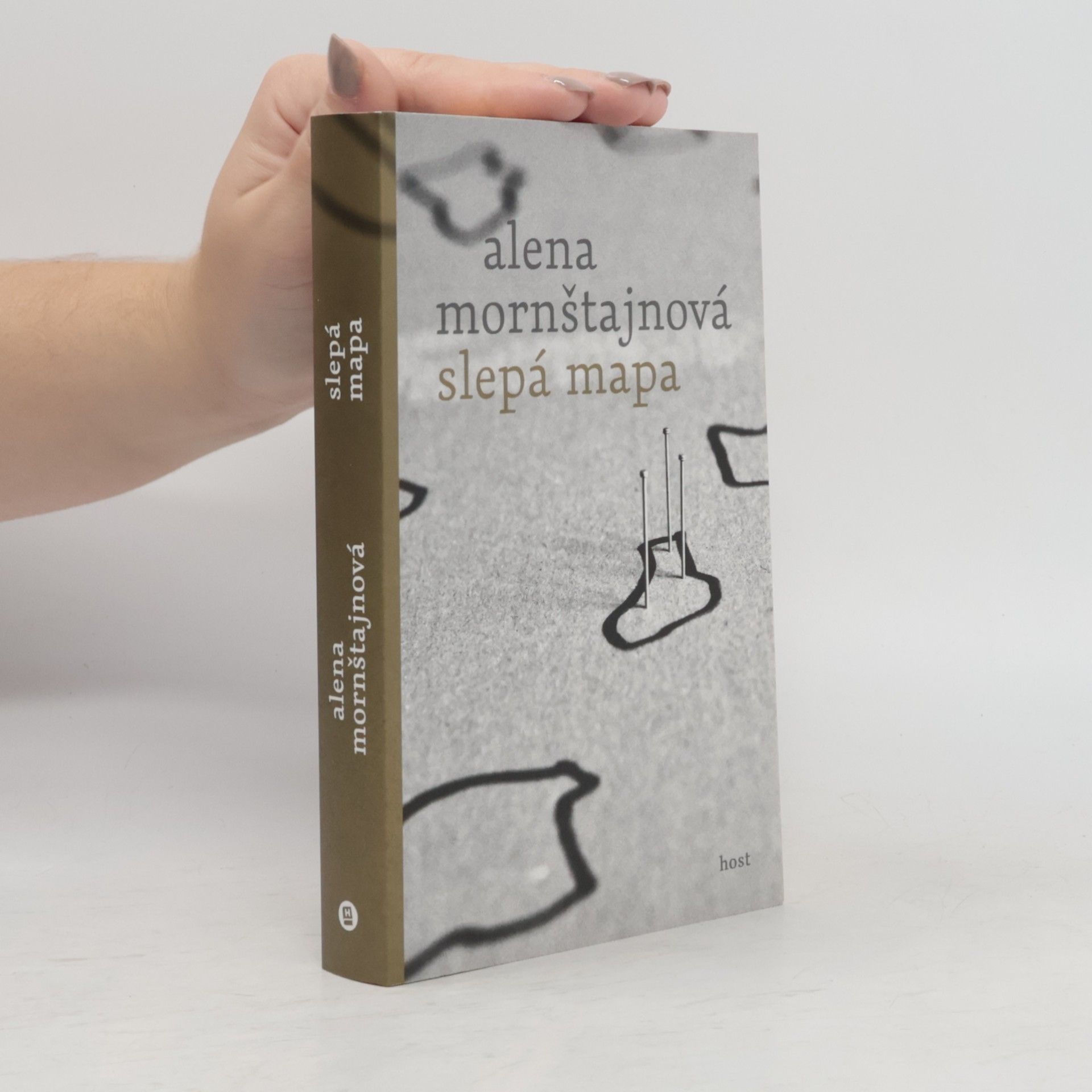 Alena Mornštajnová Slepá mapa