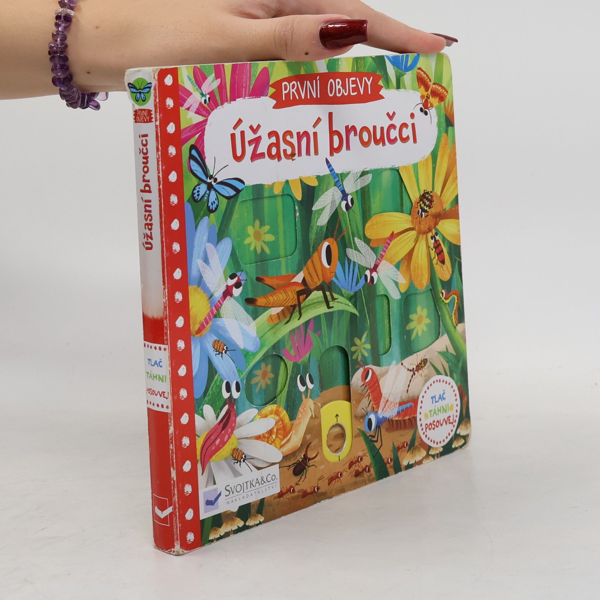 Jenny Wren První objevy: Úžasní broučci