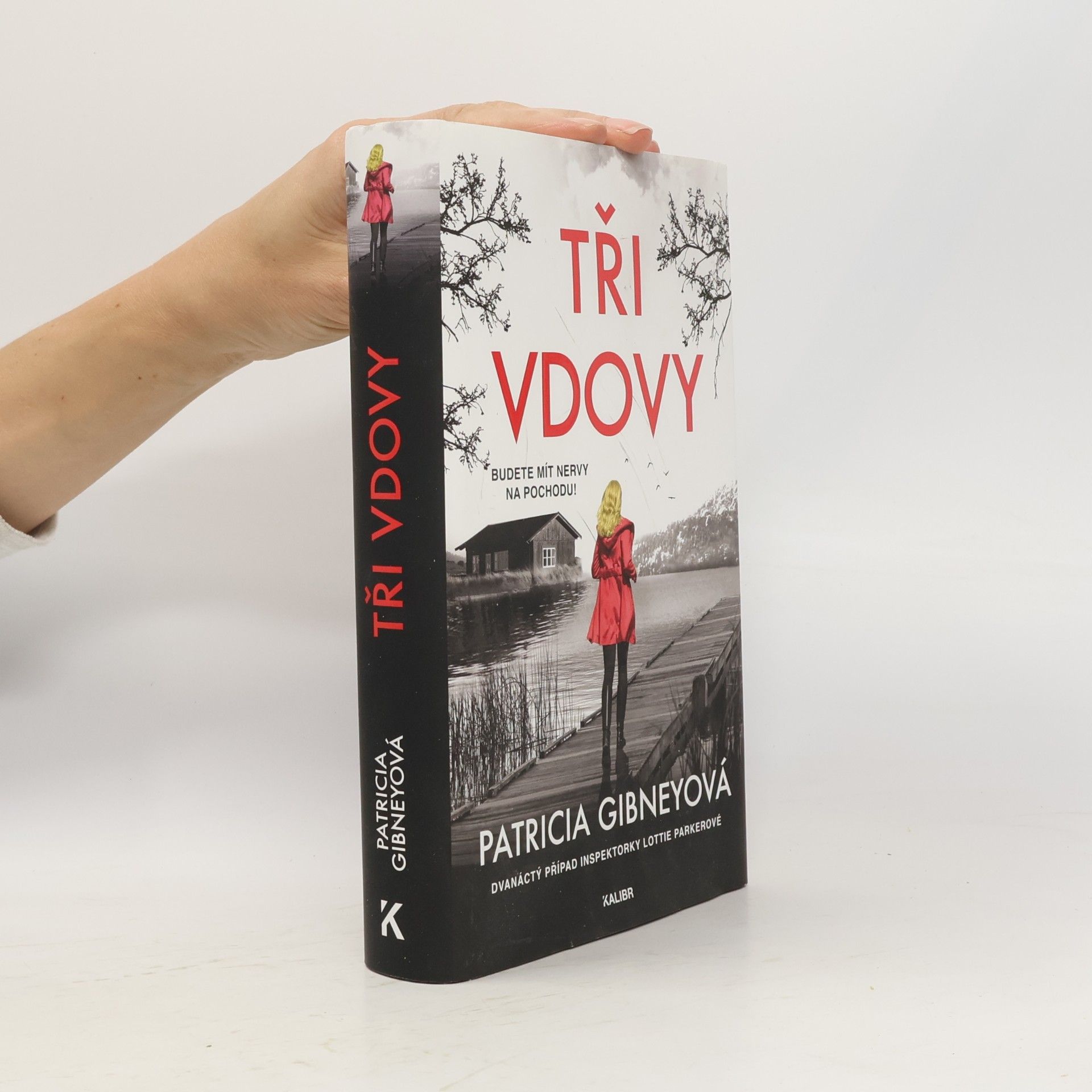 Patricia Gibney Tři vdovy