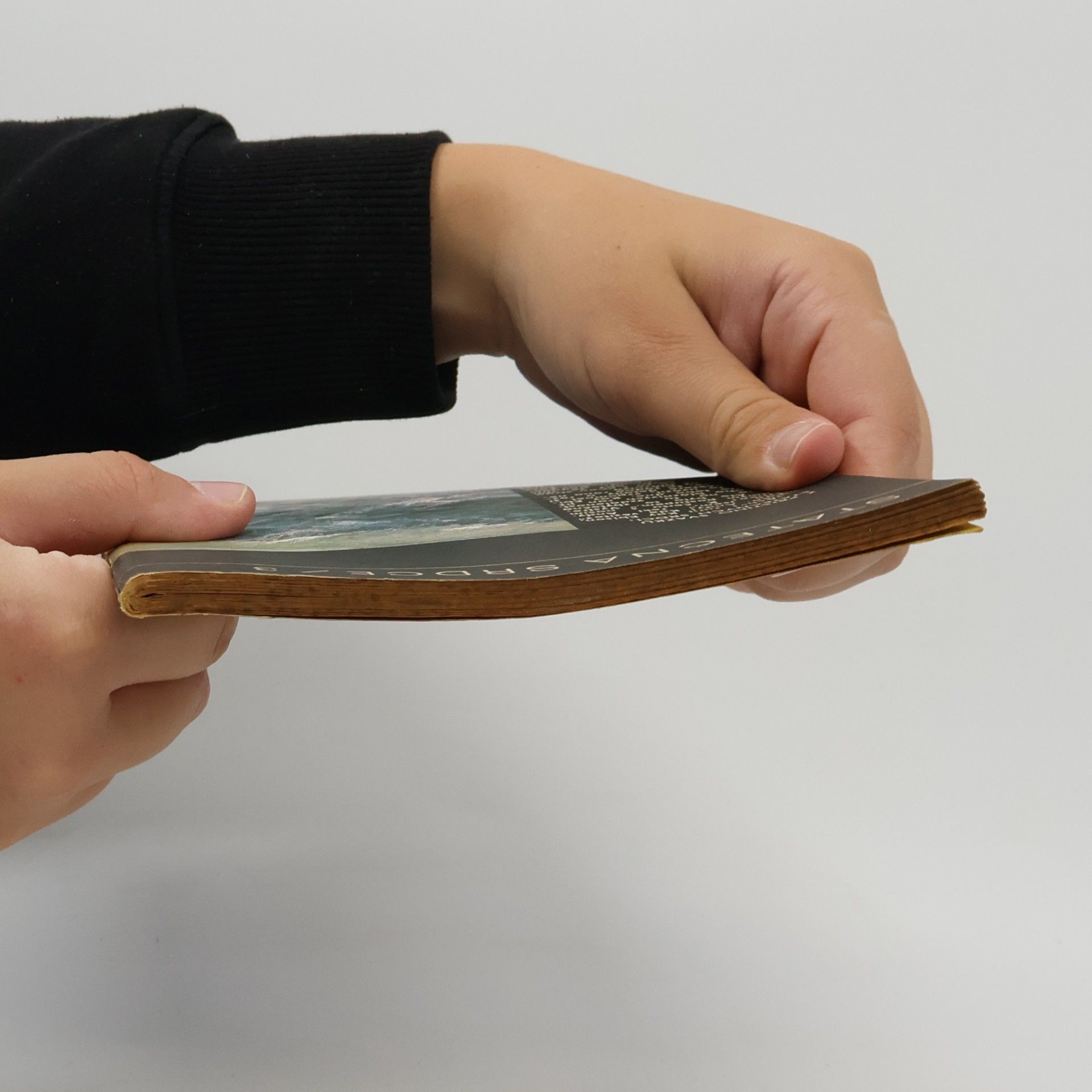 Miloš Kosina Hoši z Modré zátoky
