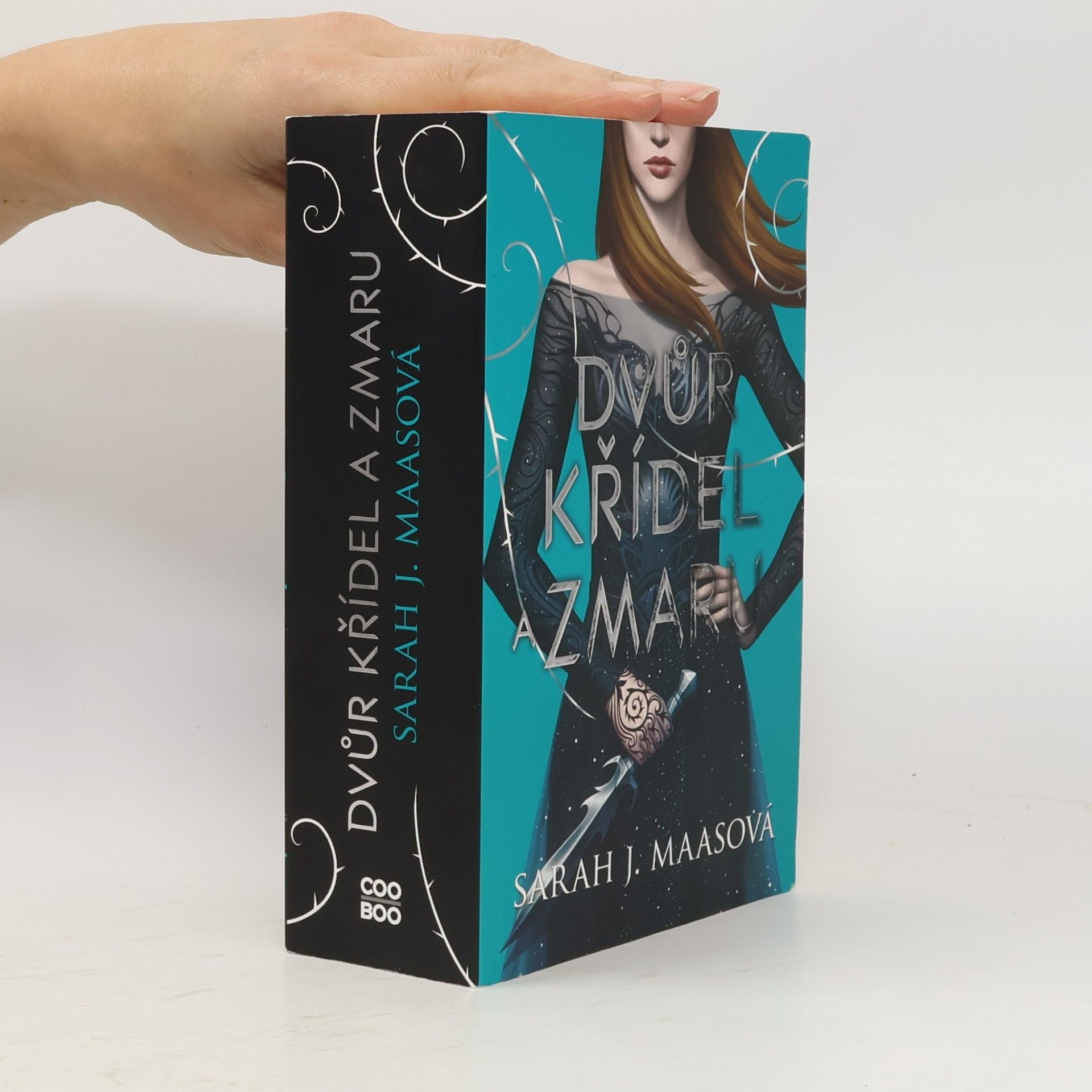 Sarah J. Maas Dvůr křídel a zmaru