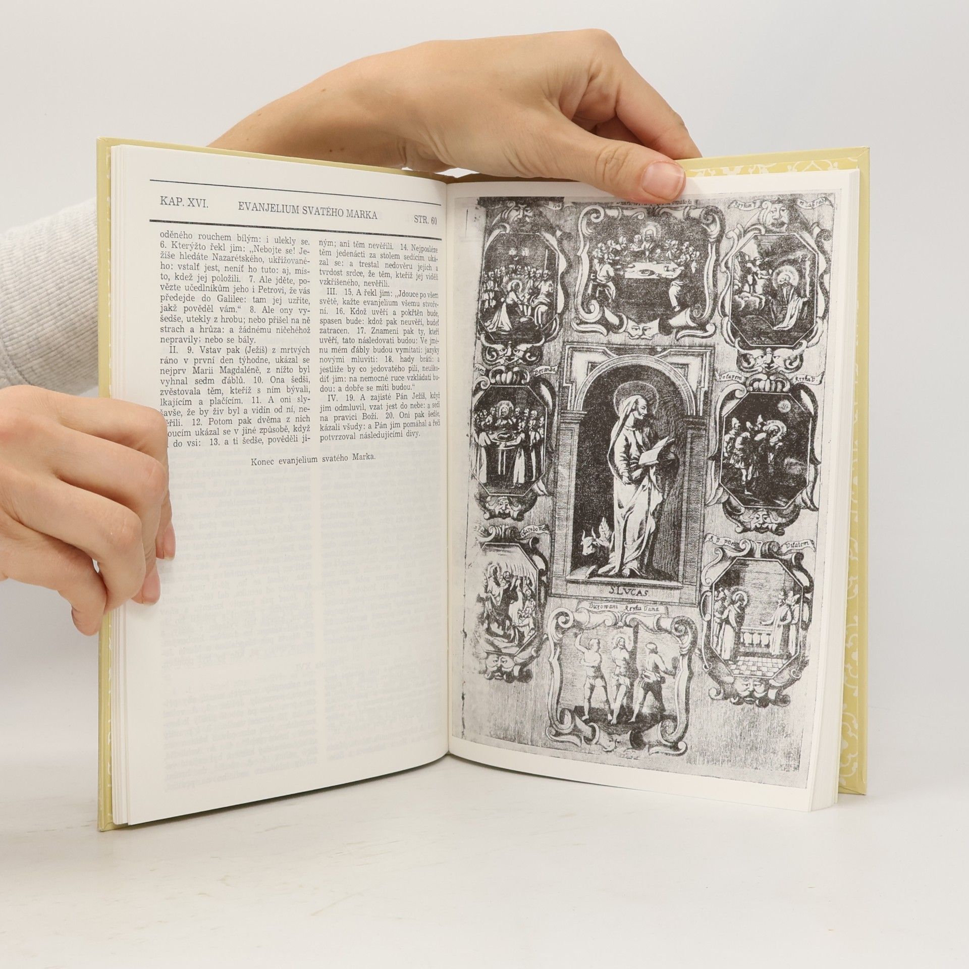 Milan Kopecký Bible: Svatováclavská evangelia