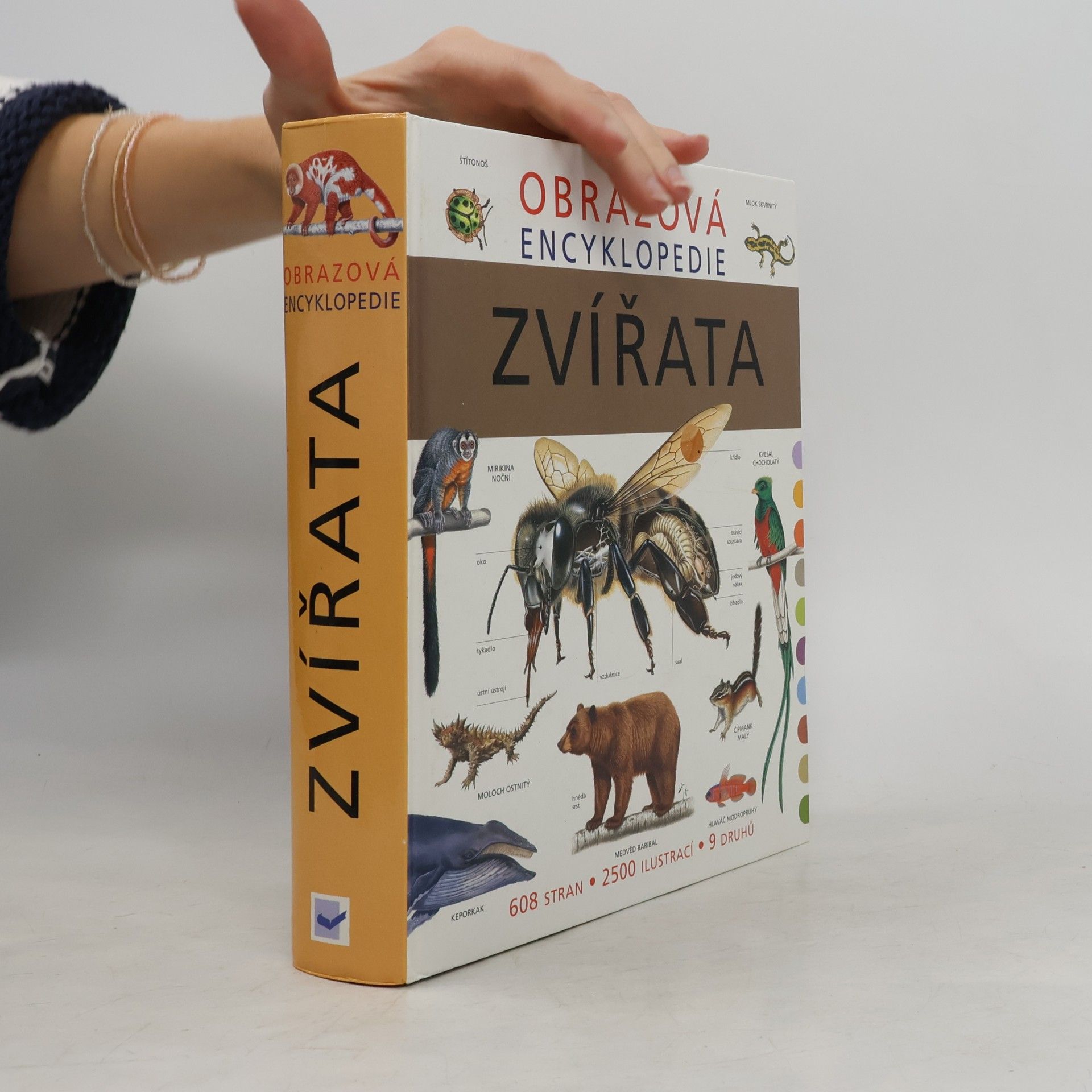 Michael Fokt Obrazová encyklopedie. Zvířata