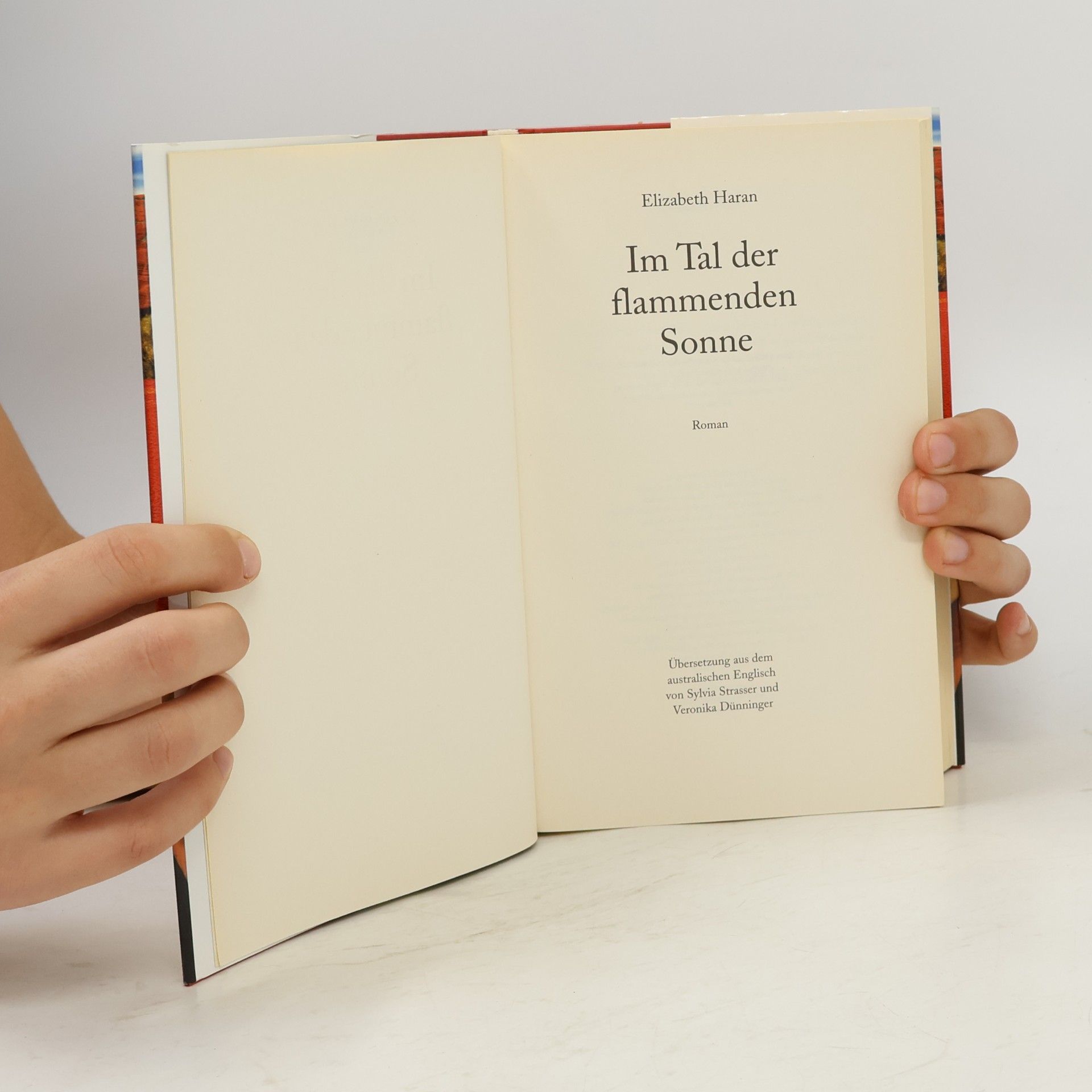 Elizabeth Haran Im Tal der flammenden Sonne