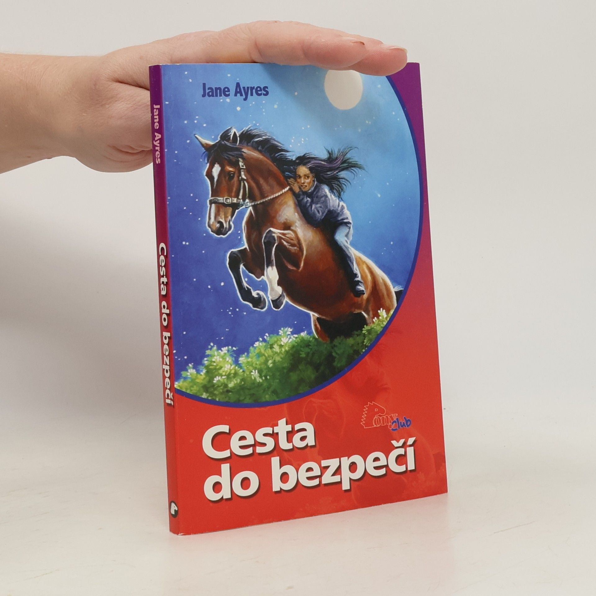 Cesta do bezpečí