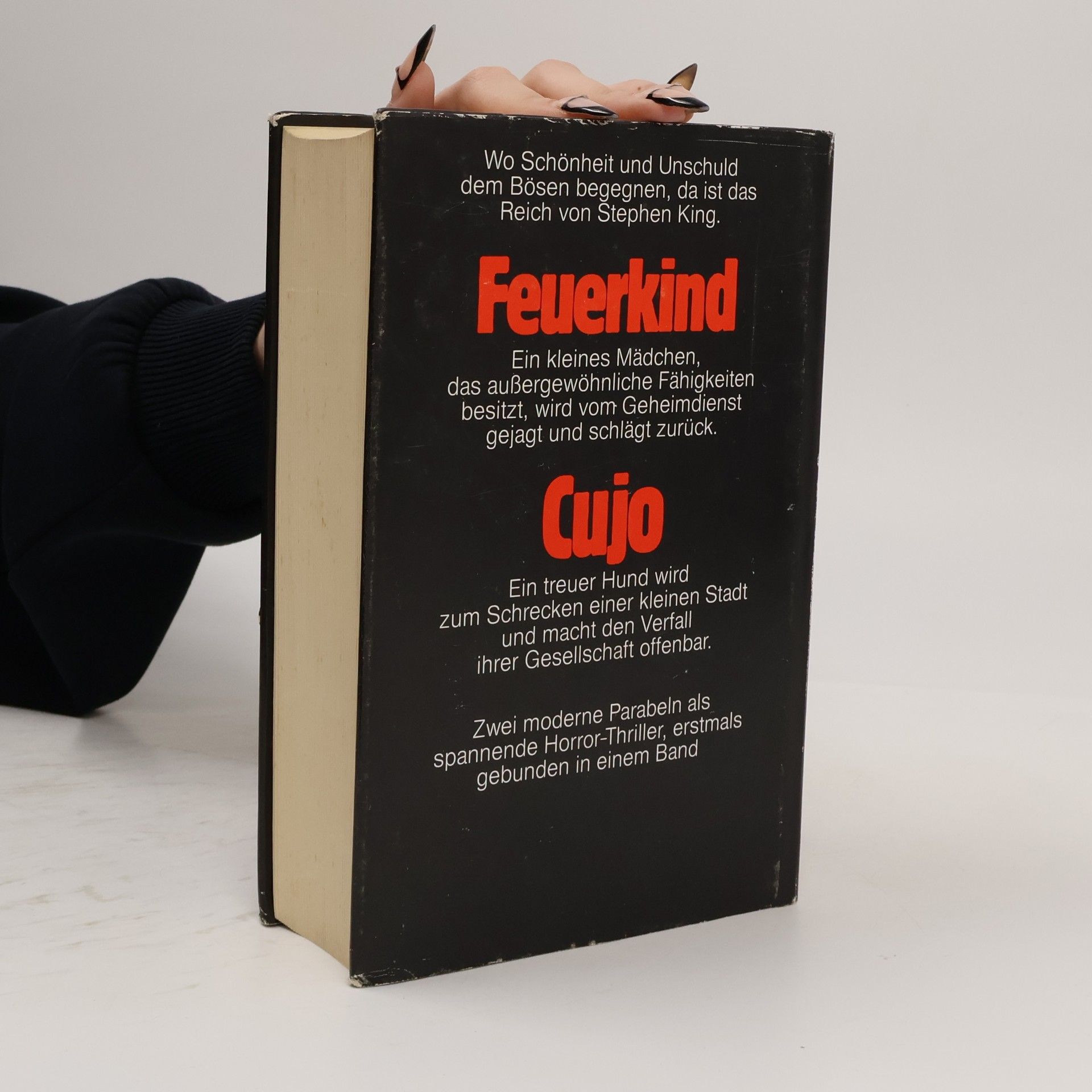 Stephen King Feuerkind. Cujo