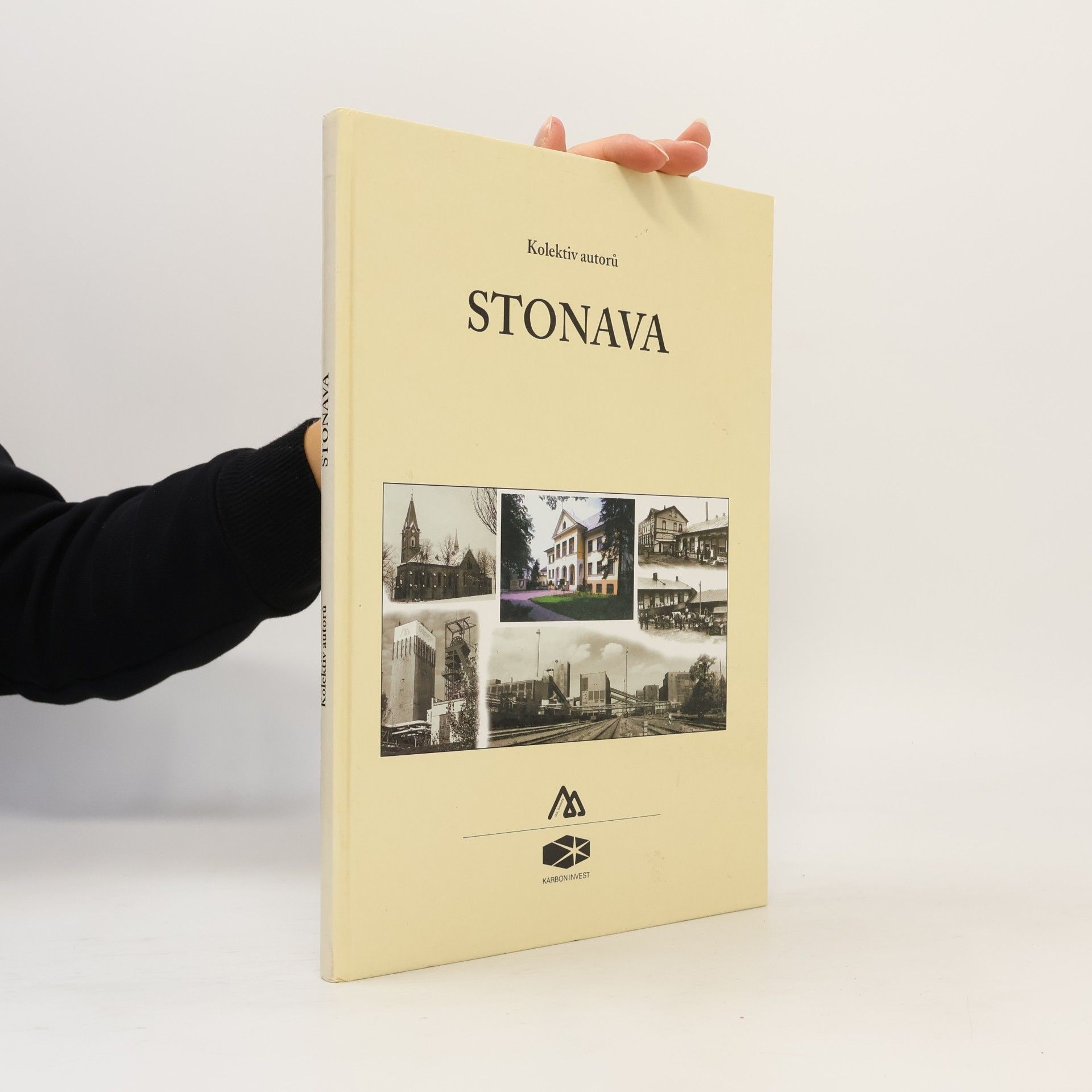 Various authors Stonava