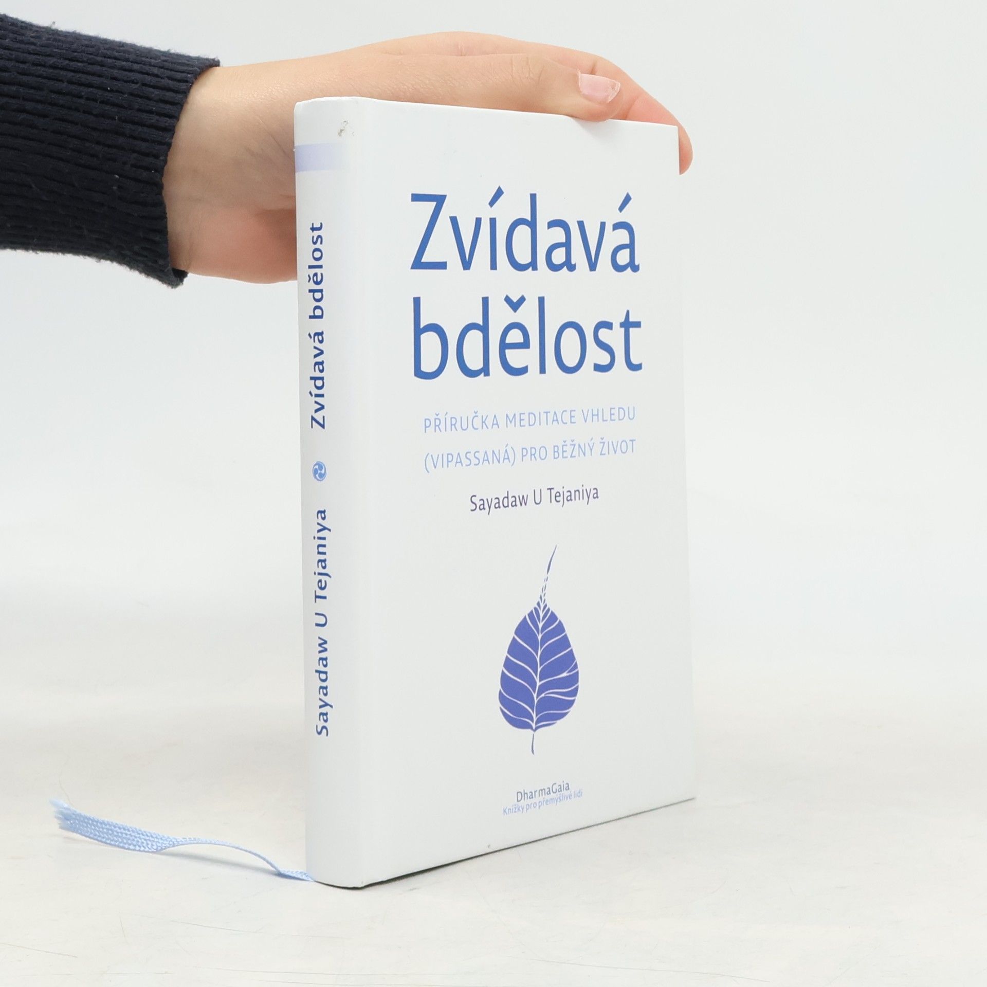 Zvídavá bdělost : příručka meditace vhledu (vipassaná) pro běžný život