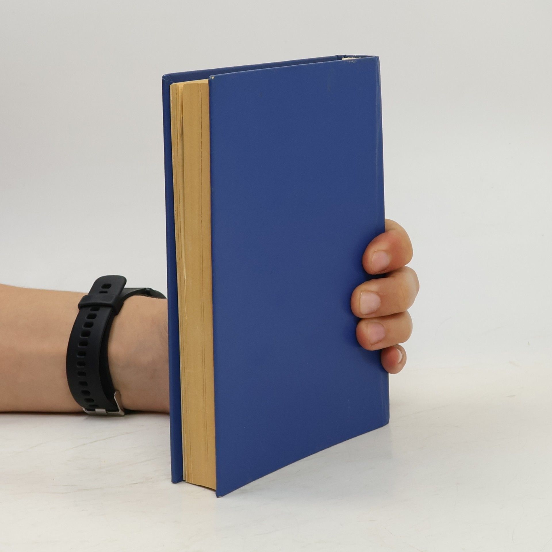Autorenkollektiv Das Buch Mormon