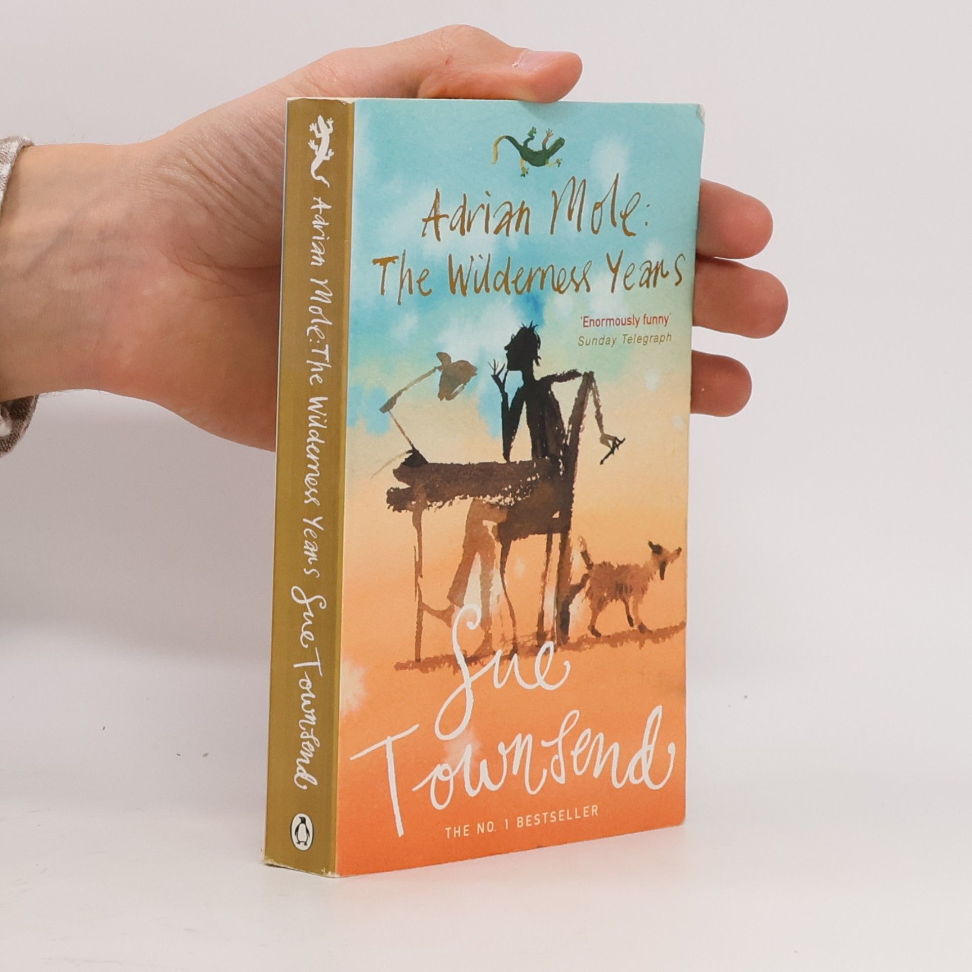 Sue Townsend Adrian Mole : the wilderness years