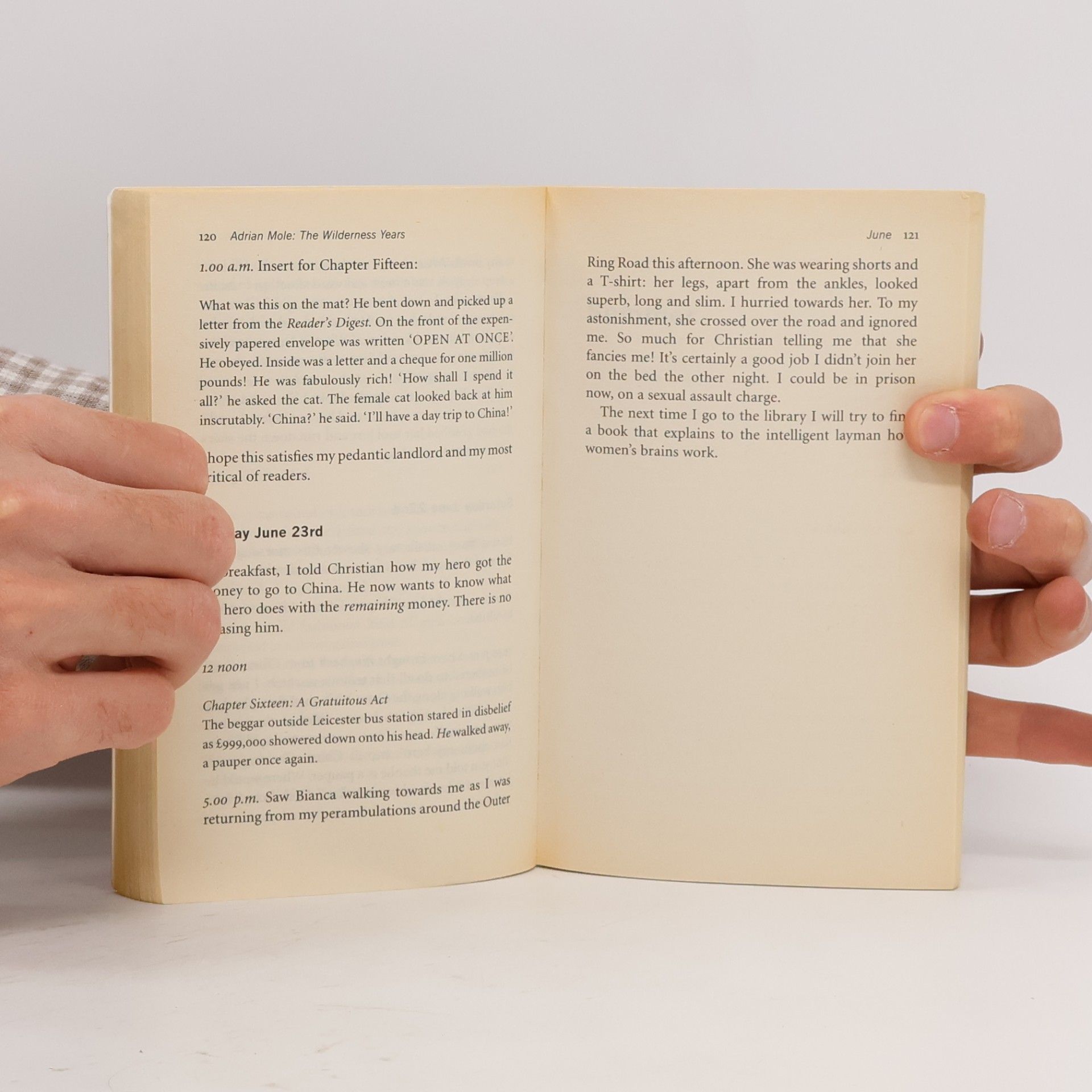 Sue Townsend Adrian Mole : the wilderness years