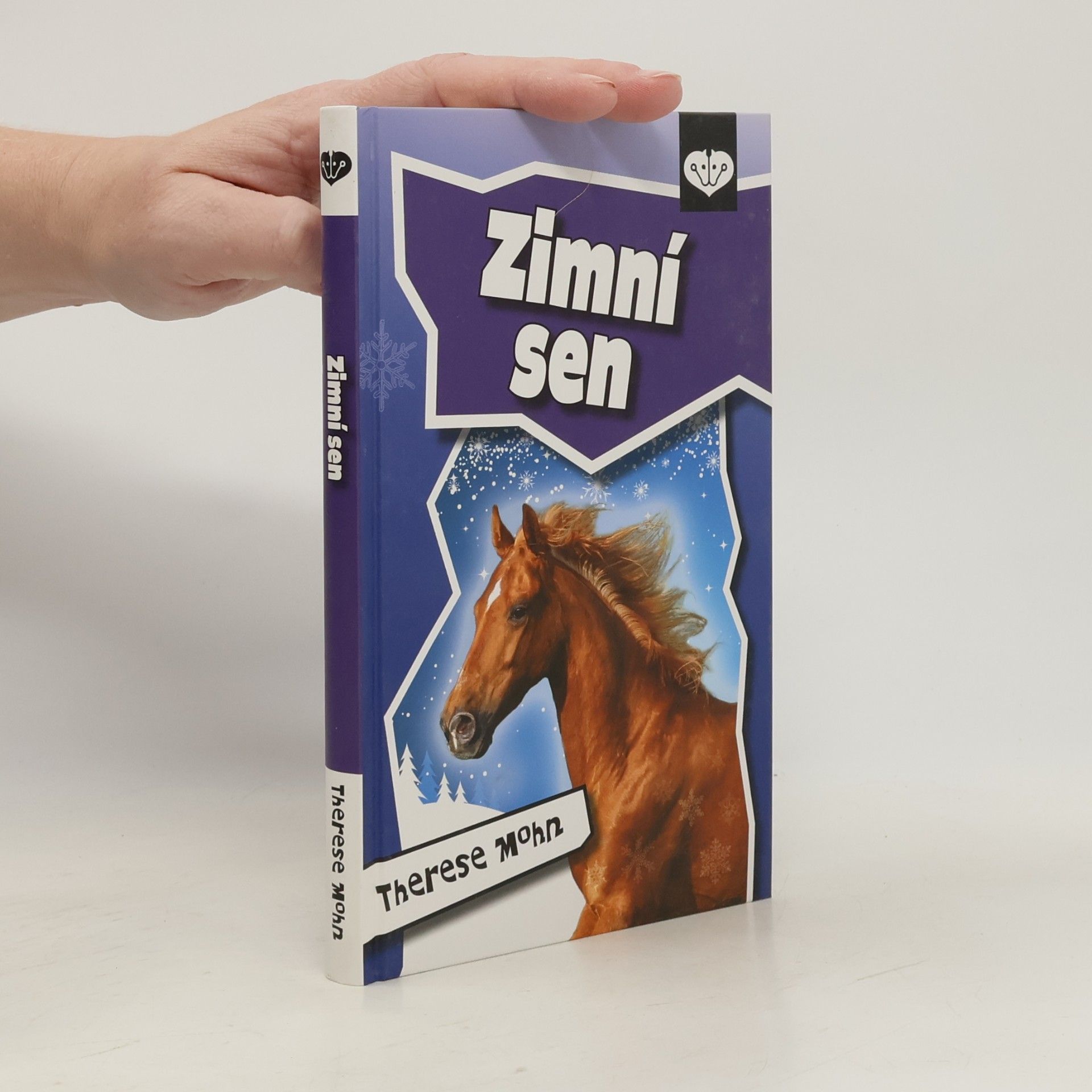 Zimní sen