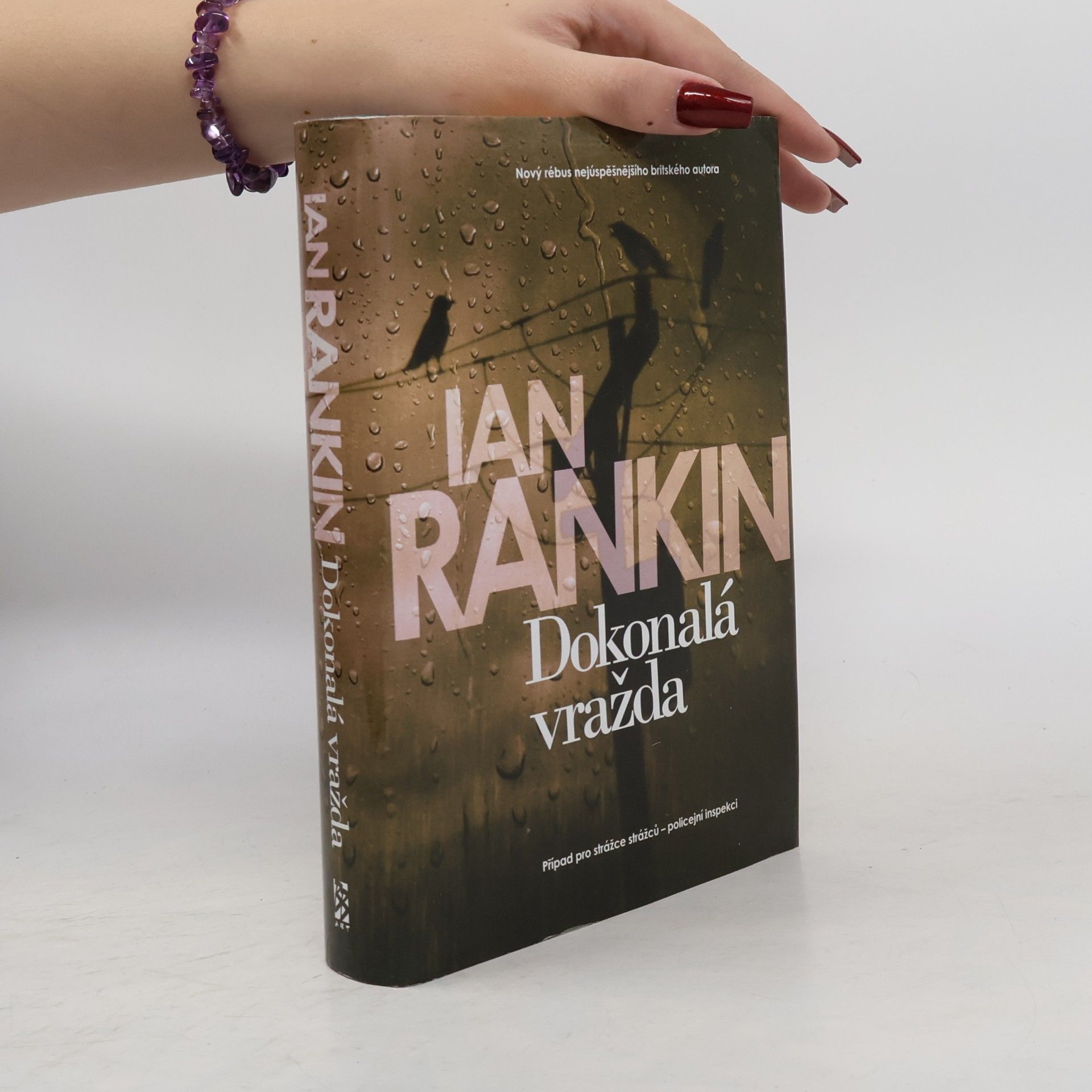 Ian Rankin Dokonalá vražda