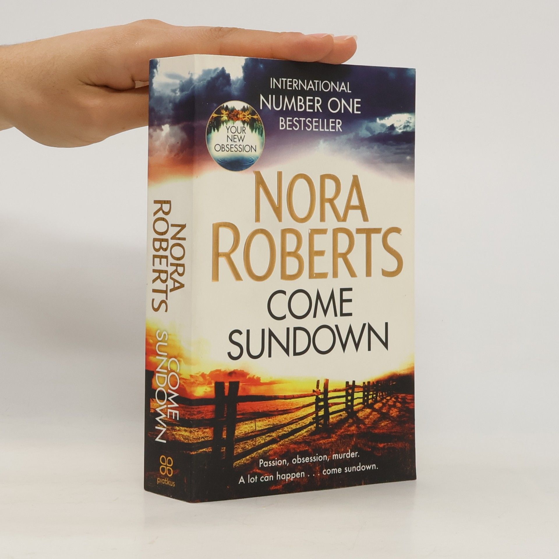 Nora Roberts Come sundown