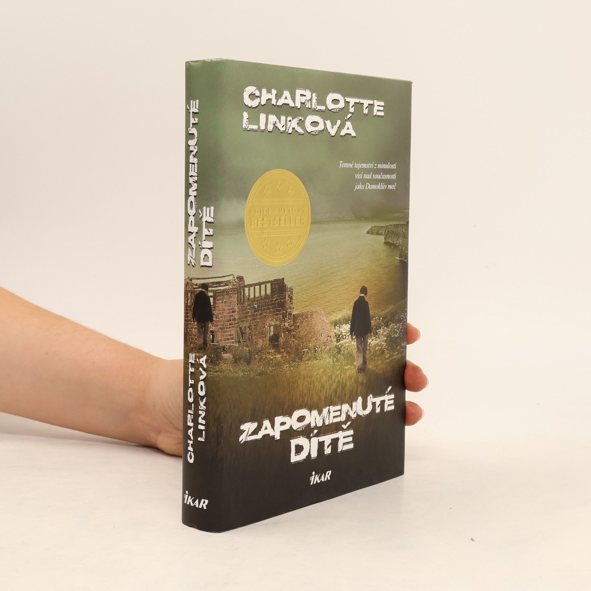 Charlotte Link Zapomenuté dítě