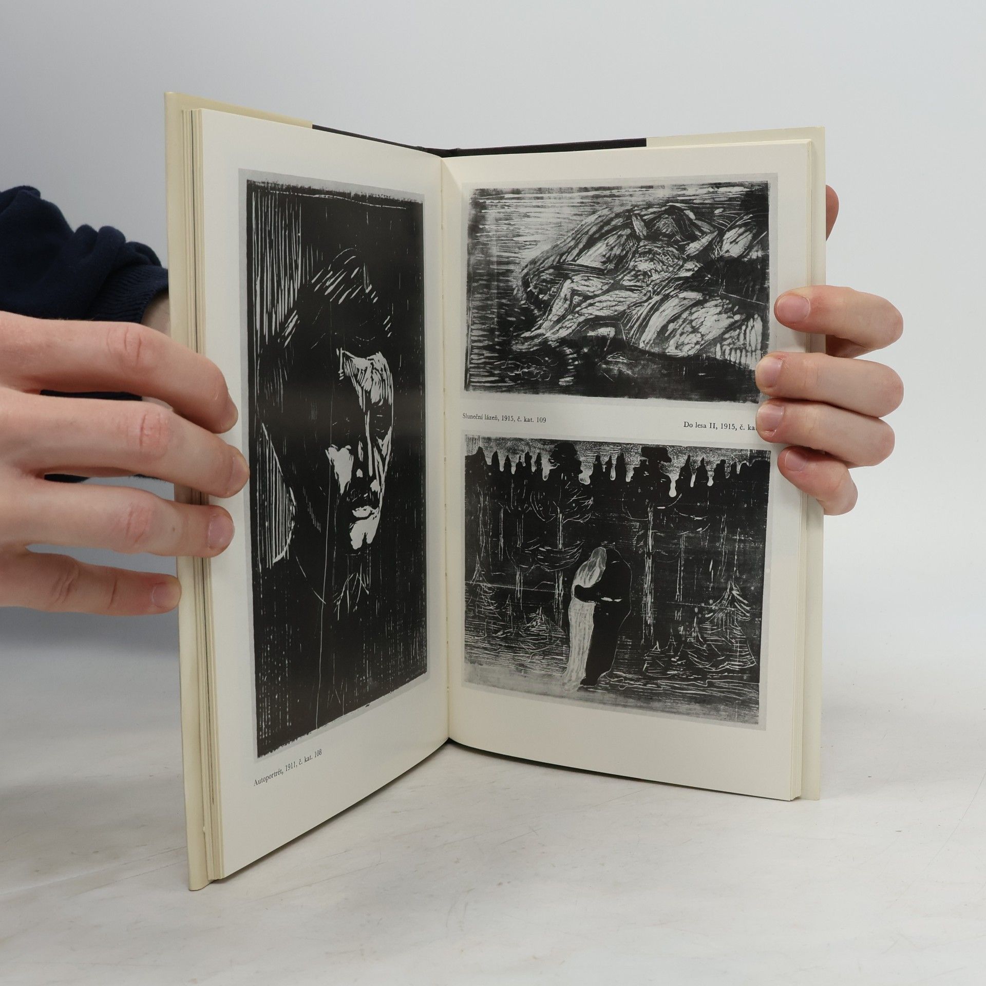 Jiří T. Kotalík Edvard Munch a české umění