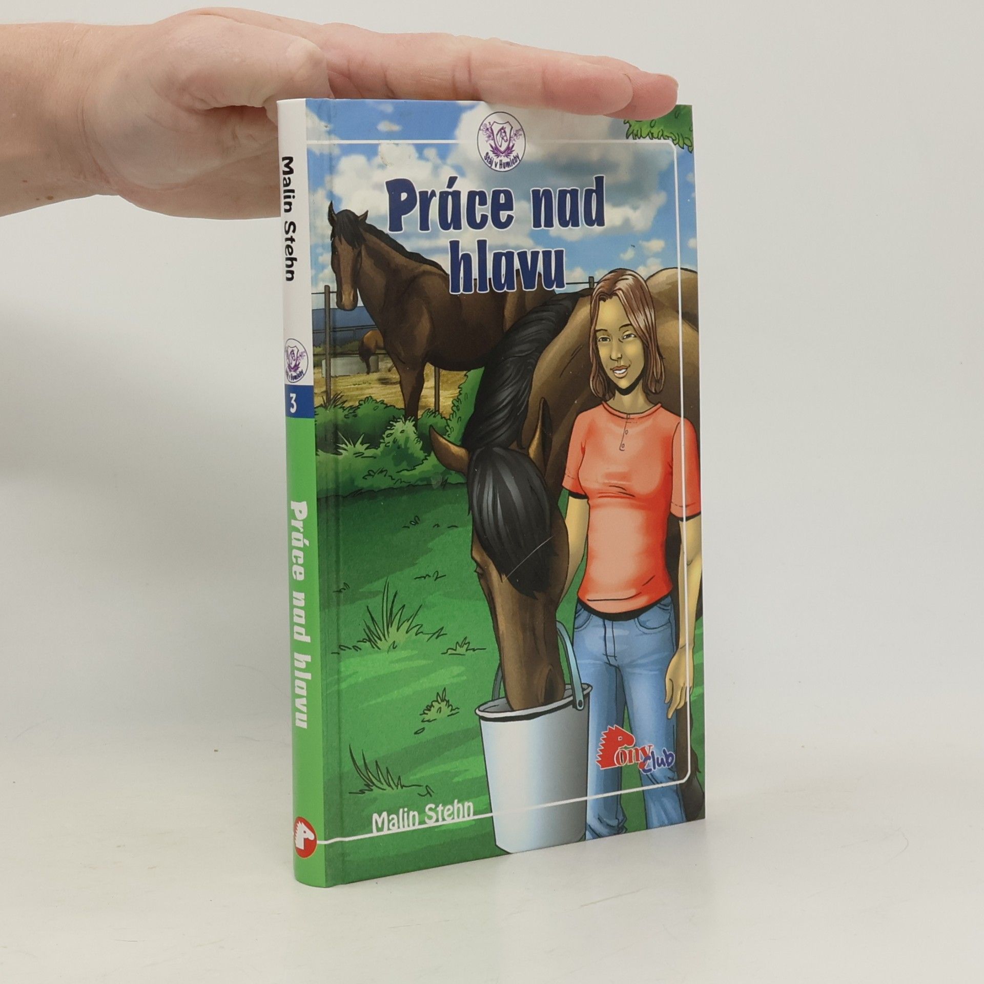 Malin Stehn Práce nad hlavu