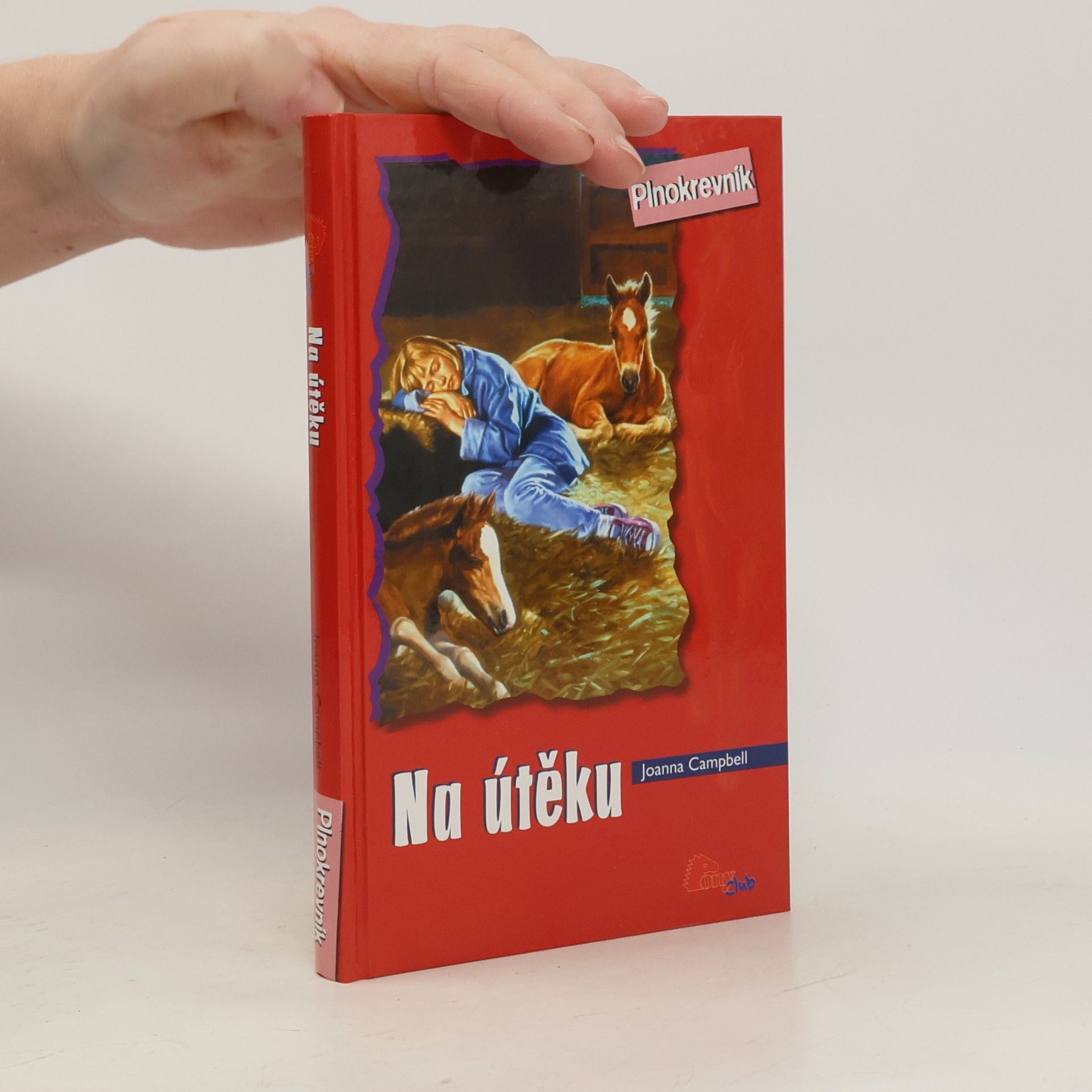 Jo Ann Simon Na útěku