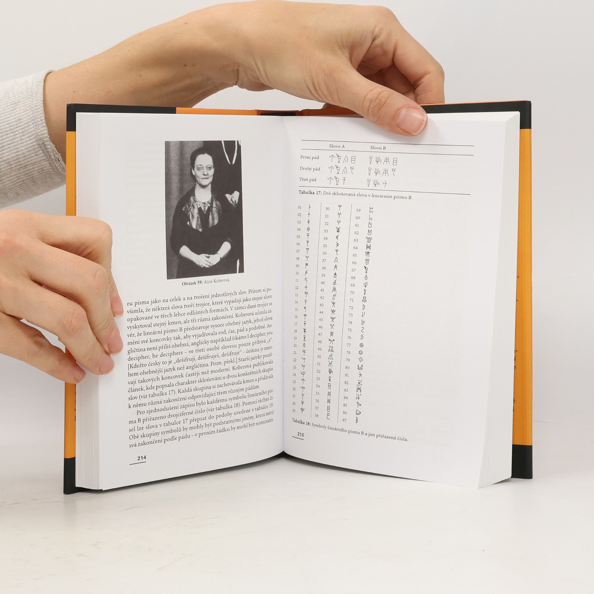 Simon Singh Kniha kódů a šifer