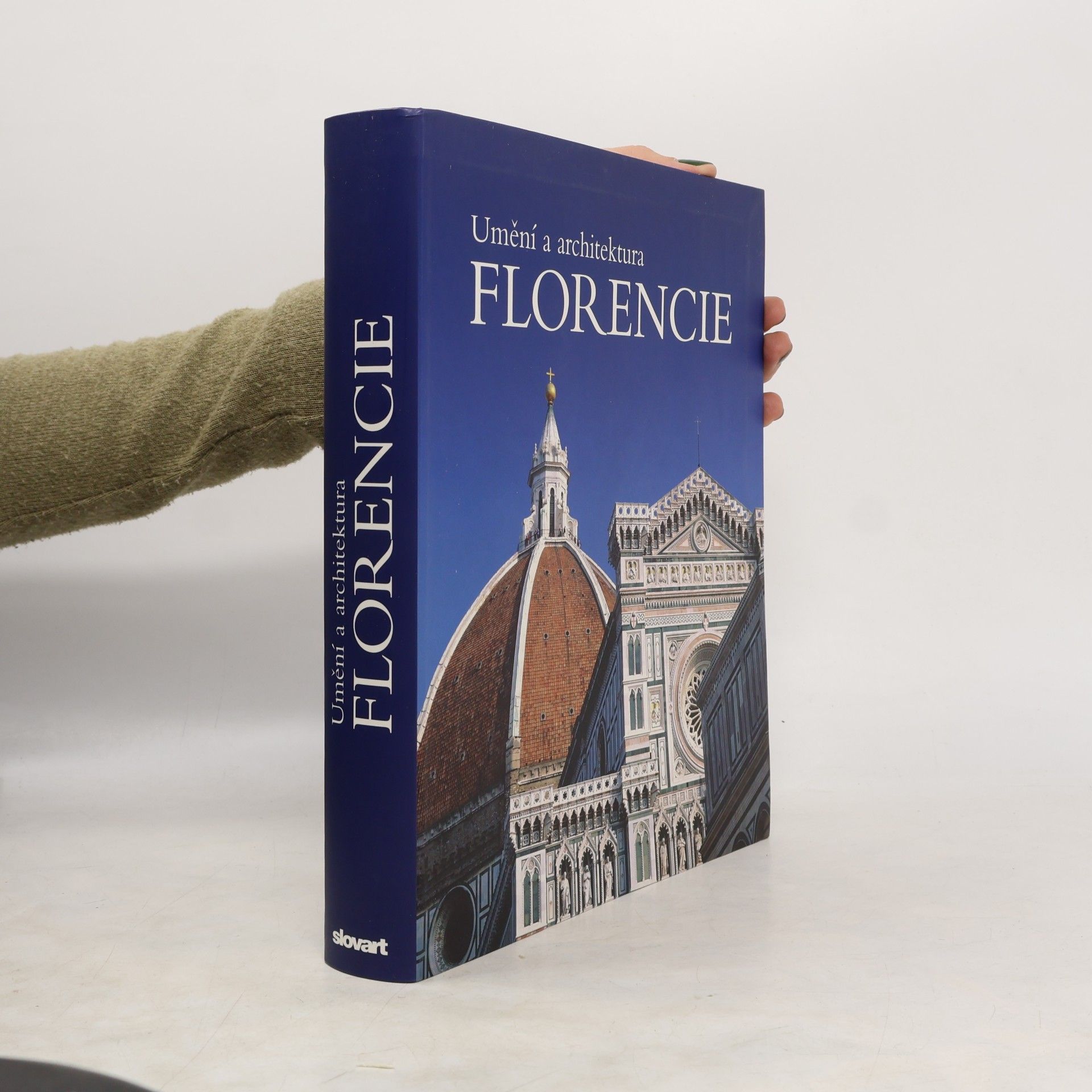 Silvestra Bietoletti Umění a architektura Florencie