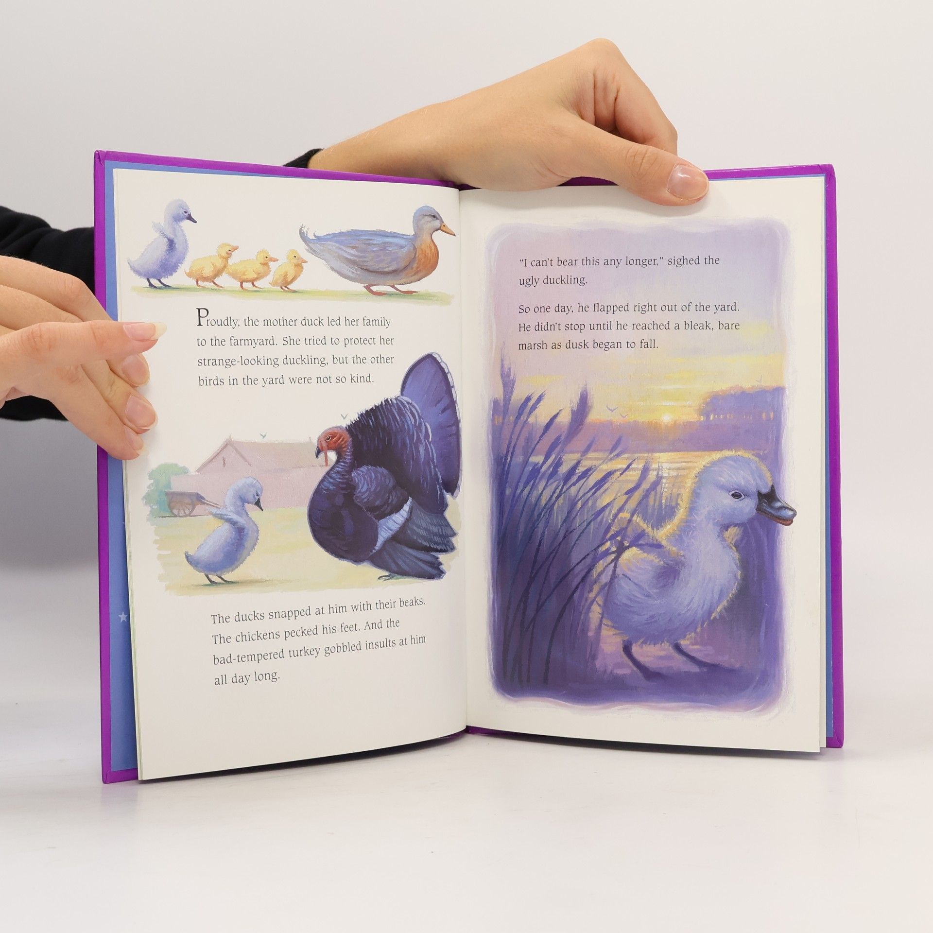 Hans Christian Andersen The Ugly Duckling