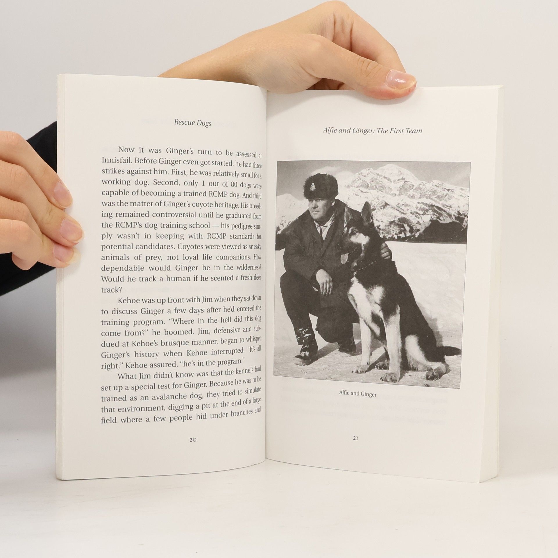 Dale Portman Amazing Stories: Rescue Dogs
