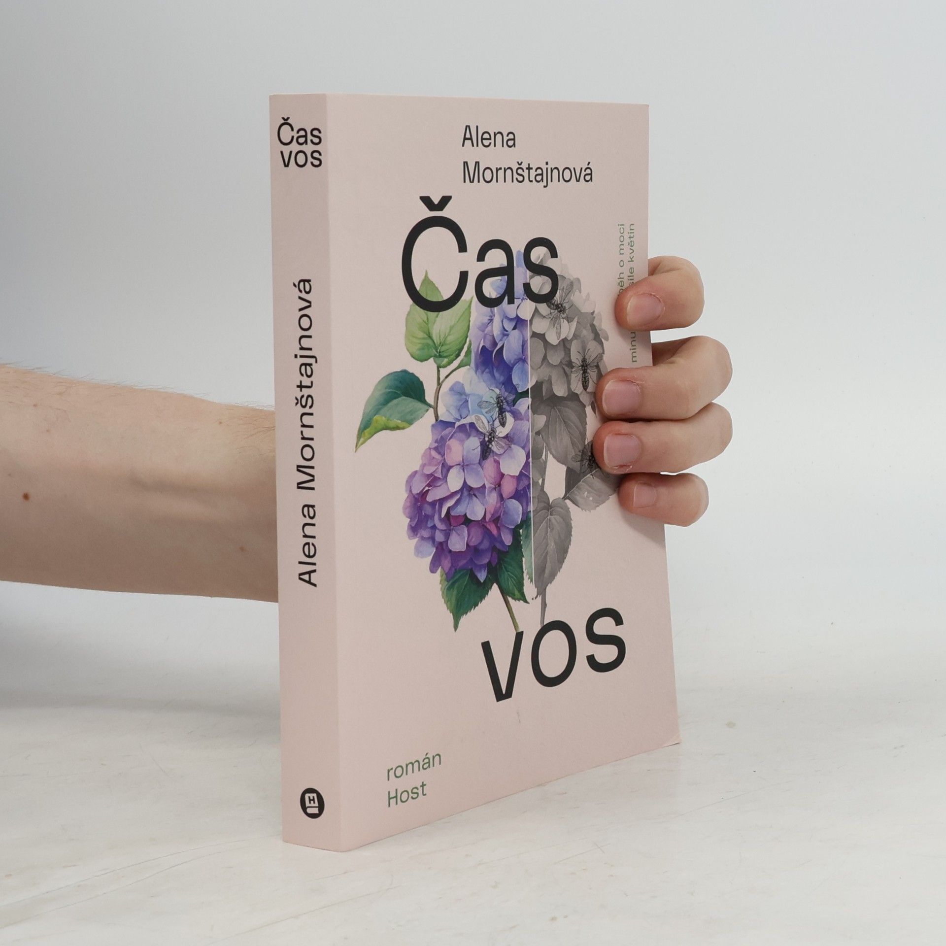 Alena Mornštajnová Čas vos