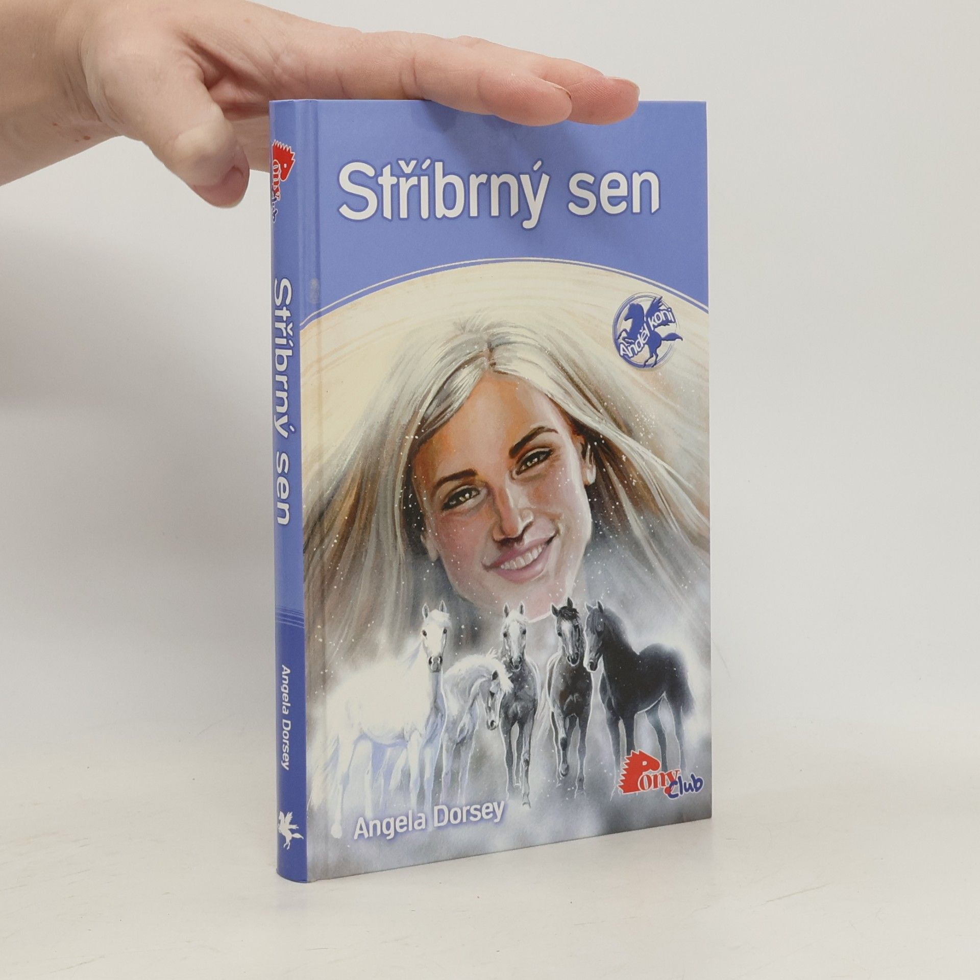 Angela Dorsey Stříbrný sen