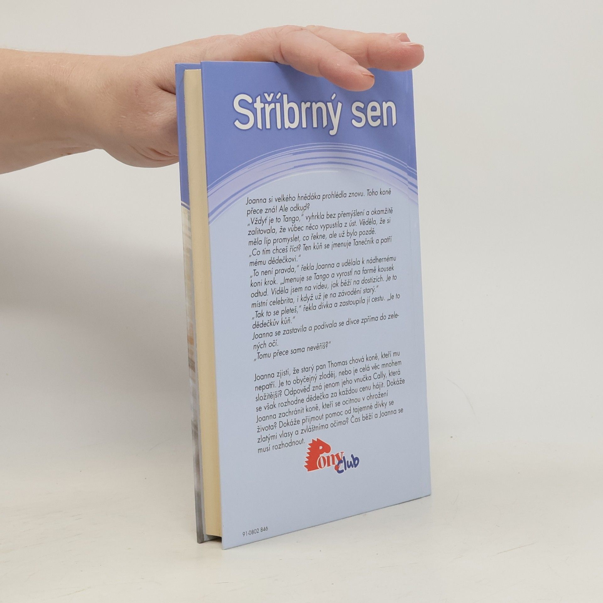 Angela Dorsey Stříbrný sen