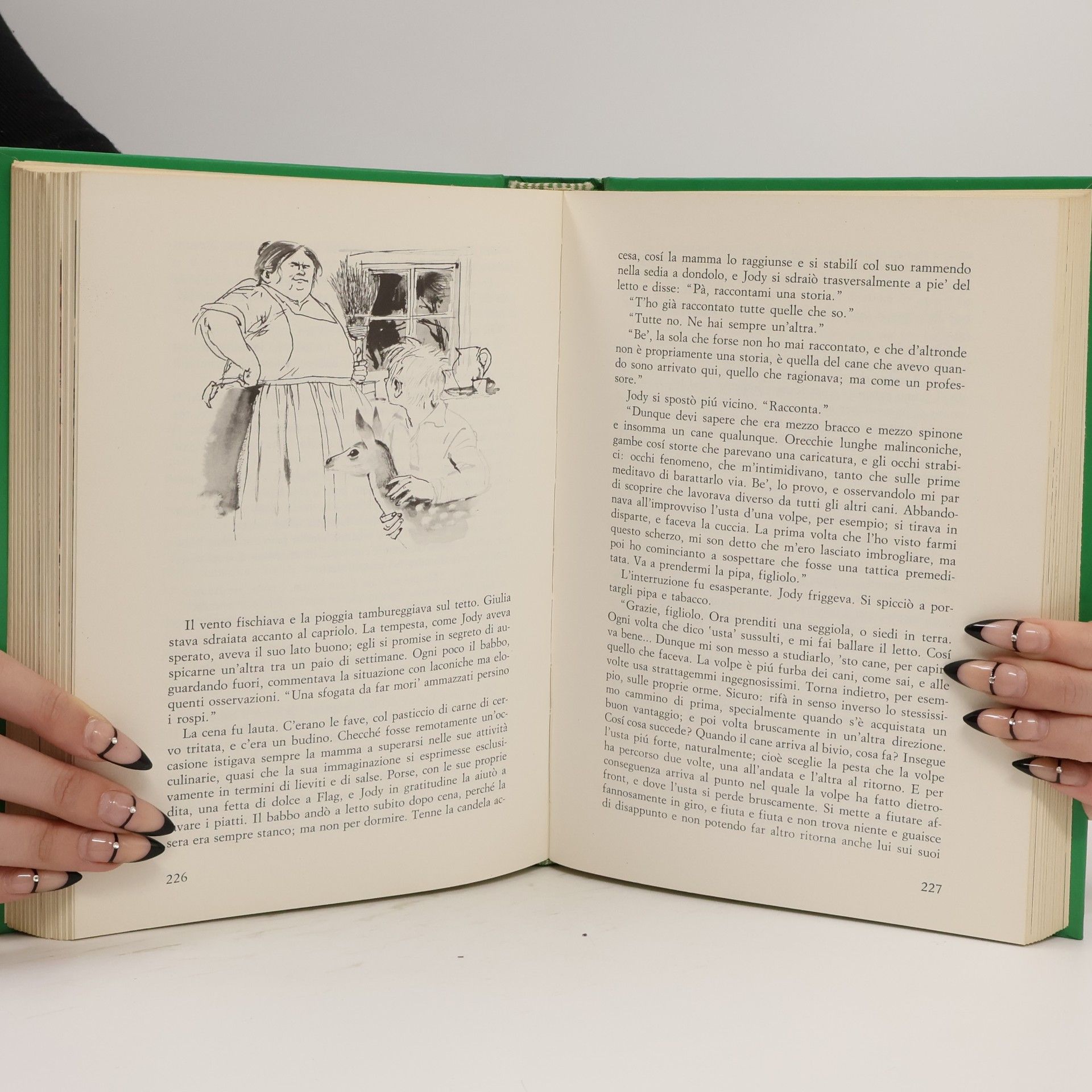 Marjorie Kinnan Rawlings Il cucciolo