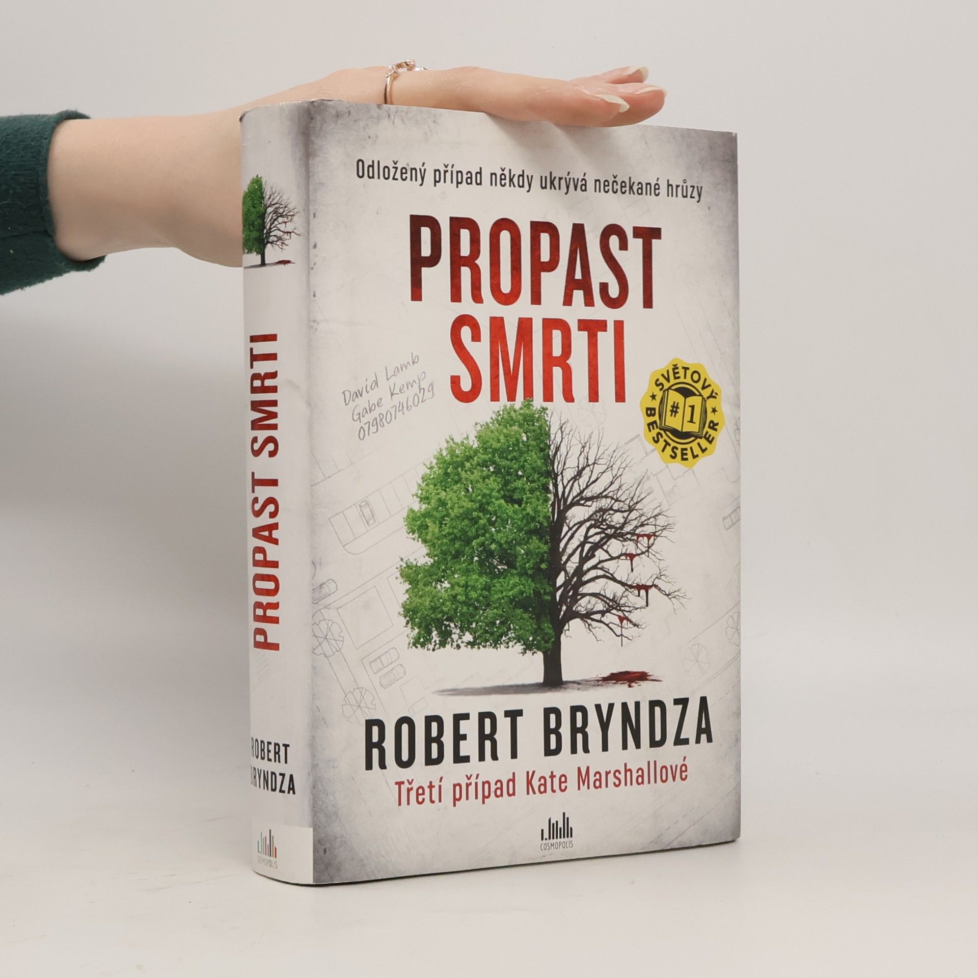 Robert Bryndza Propast smrti