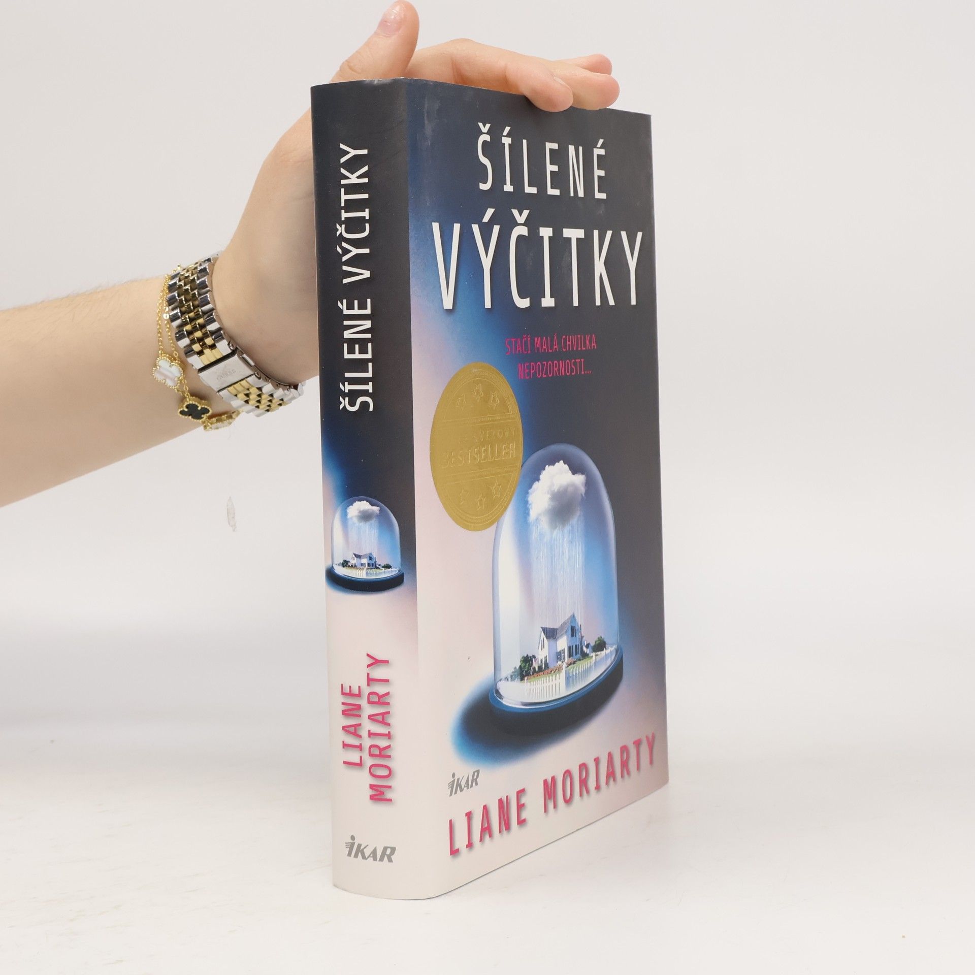 Liane Moriarty Šílené výčitky