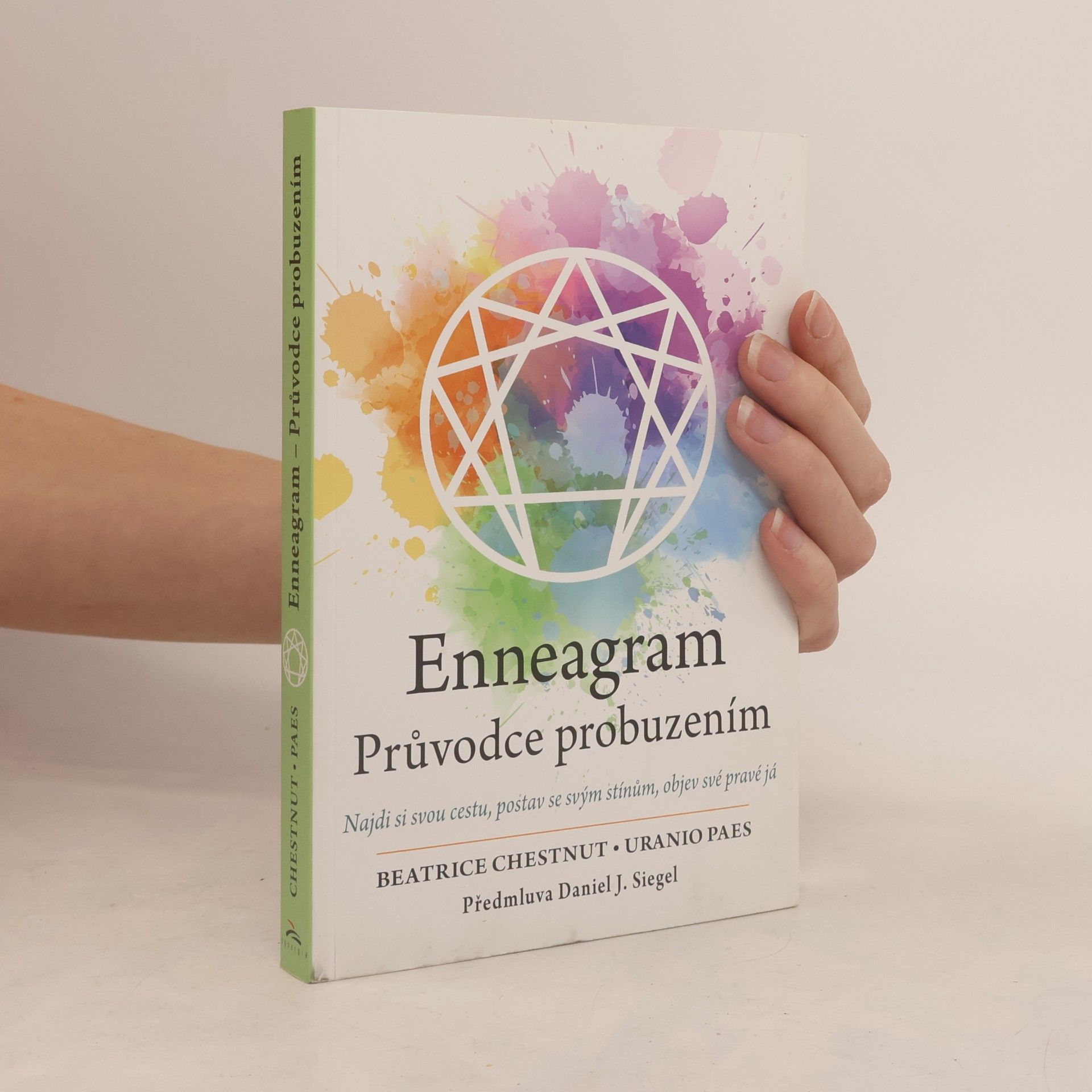 Beatrice Chestnut Enneagram : průvodce probuzením : najdi si svou cestu, postav se svým stínům, objev své pravé já