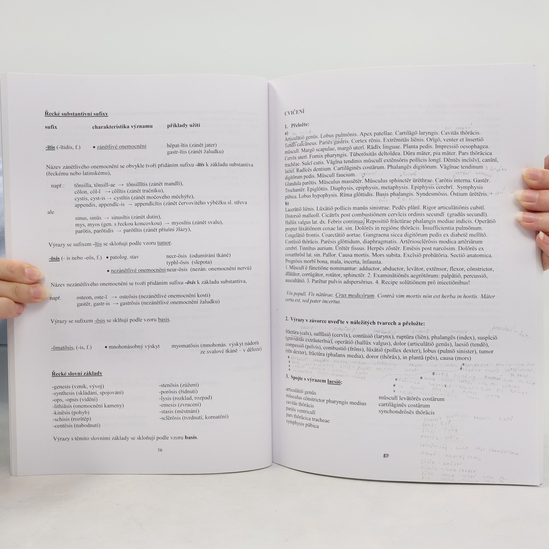 Auteurscollectief Základy latinské terminologie pro bakalářské zdravotnické obory