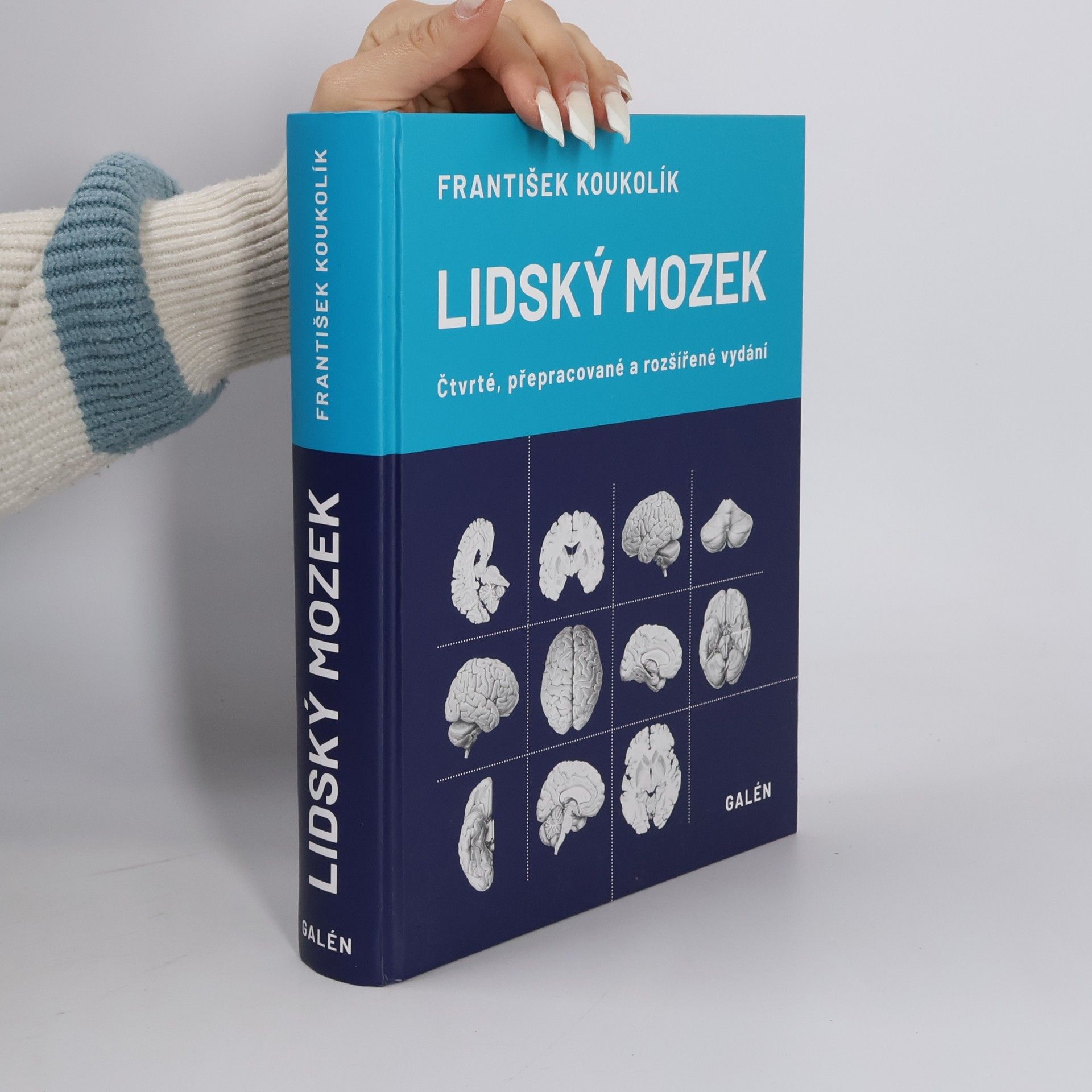 František Koukolík Lidský mozek