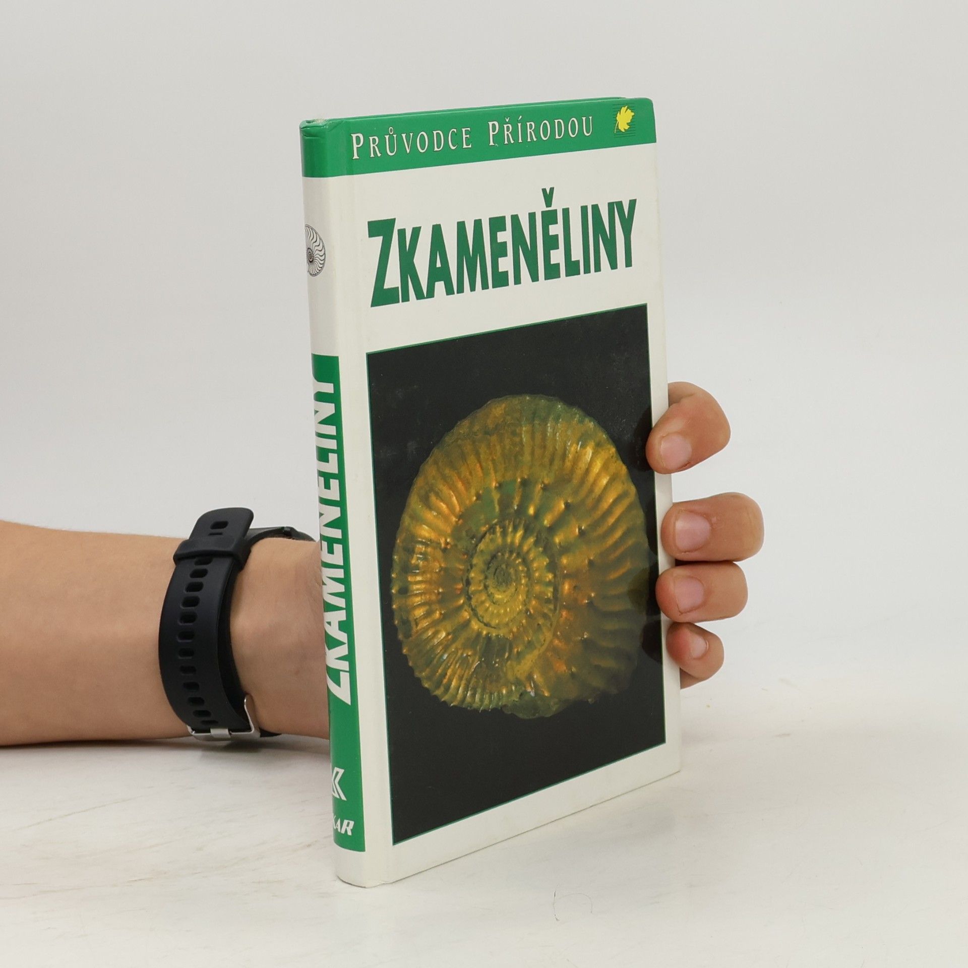 Gerhard Lichter Zkameněliny
